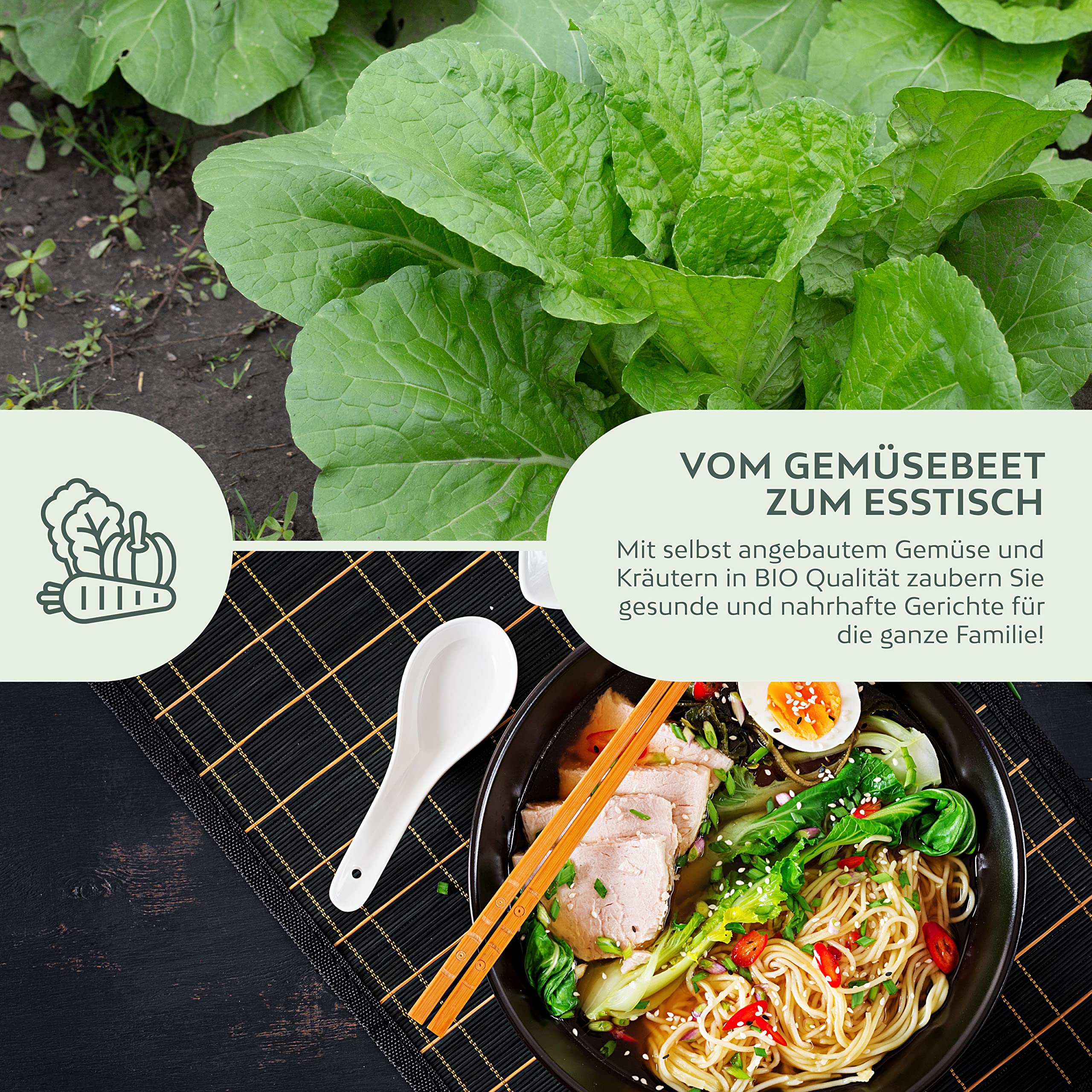 SAFLAX Geschenk Set - BIO - Chinesischer Senfkohl - Pak