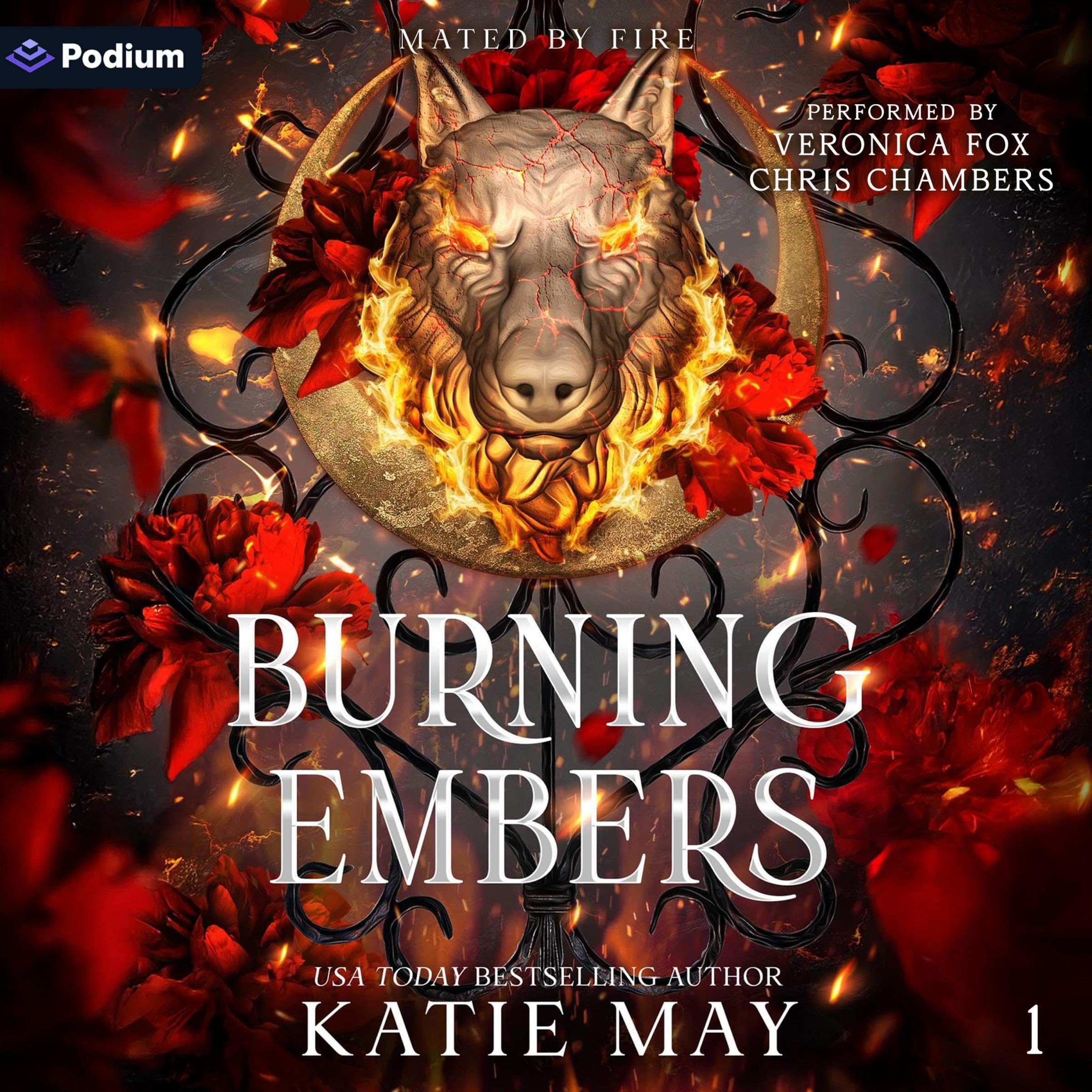 Cover art for Burning Embers