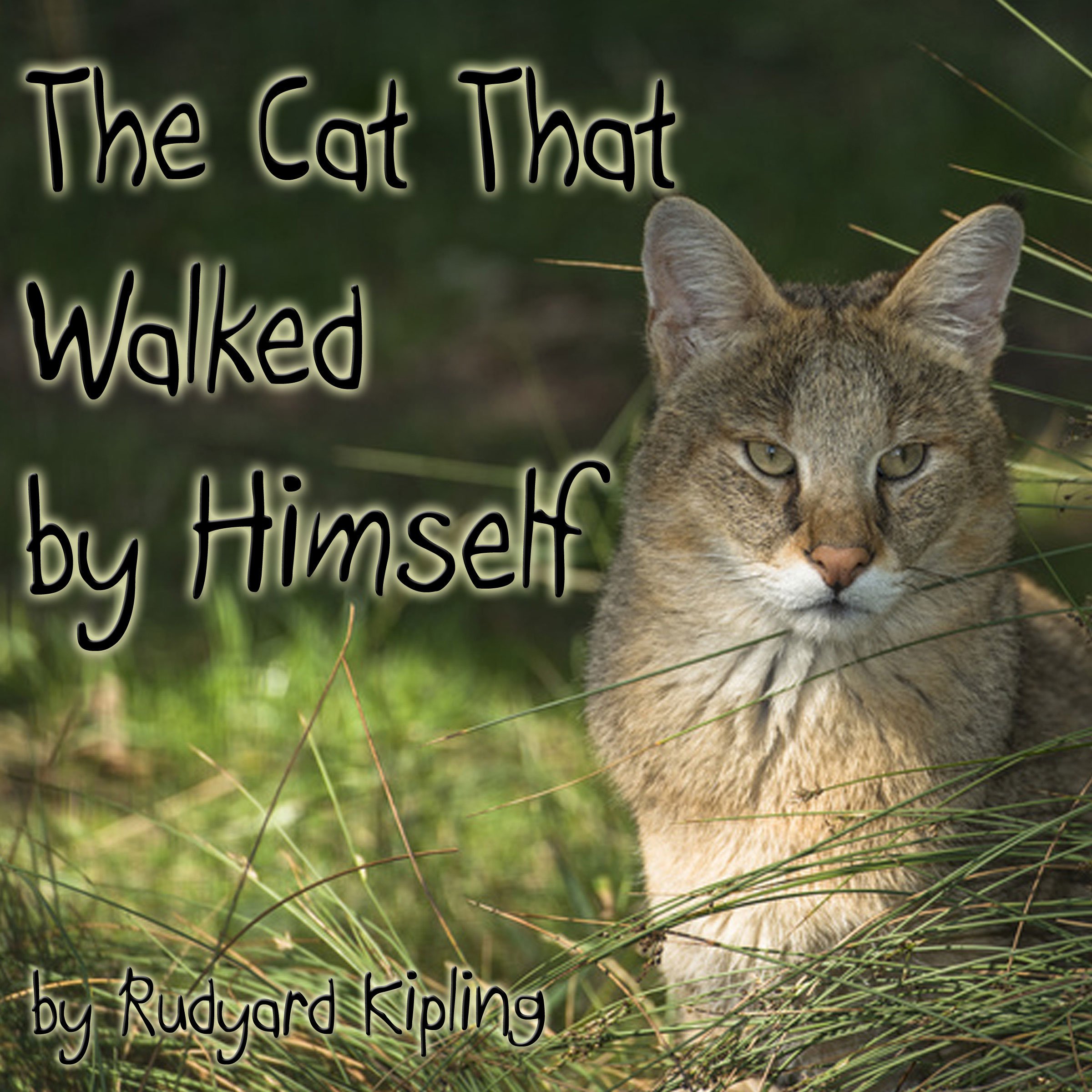 Cover art for The Cat That Walked by Himself (Dramatized)