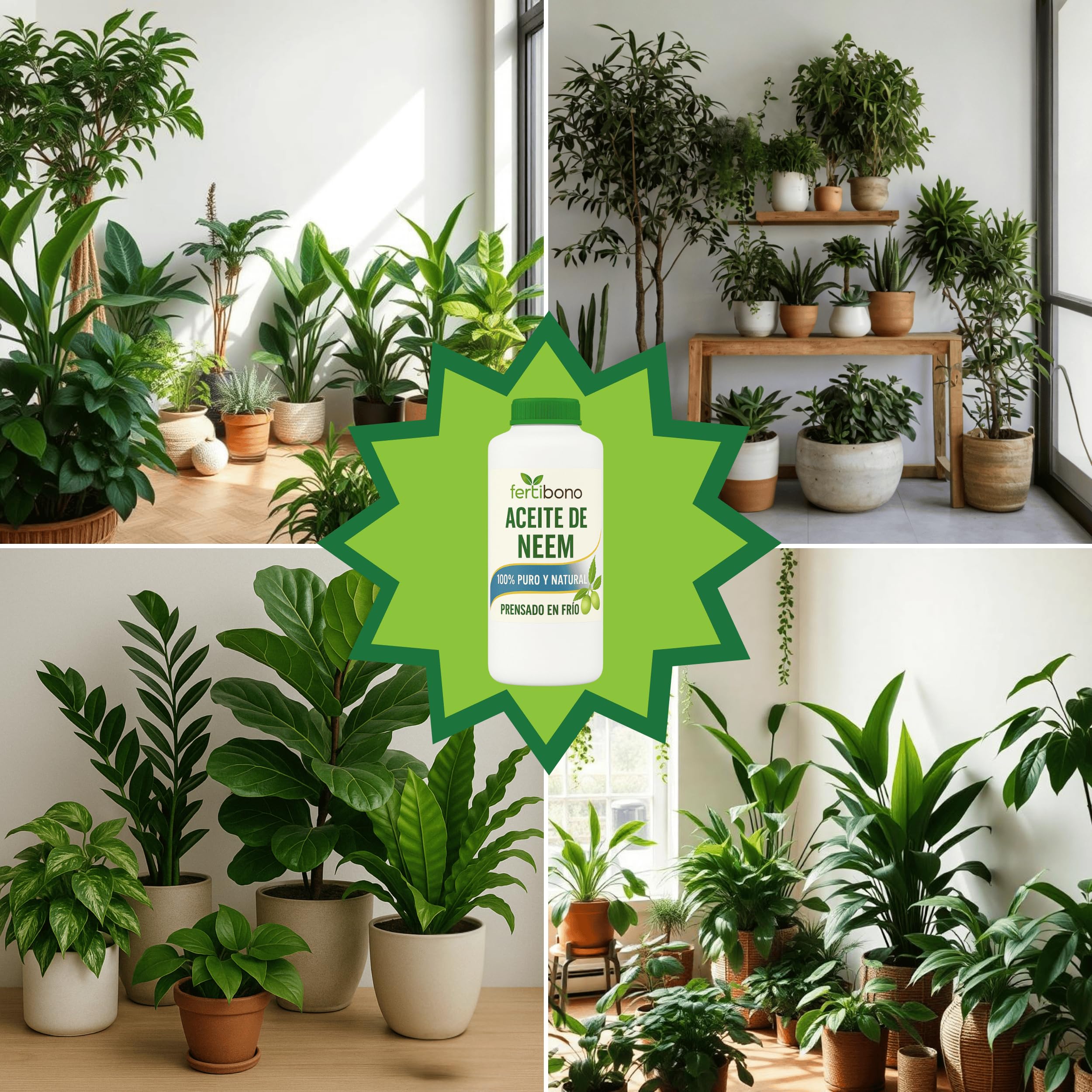 Fertibono - Jabón Potásico y Aceite de Neem - 1L + 1L - Limpieza y Cuidado Natural para Plantas y Jardín - 100% Ecológico y Biodegradable