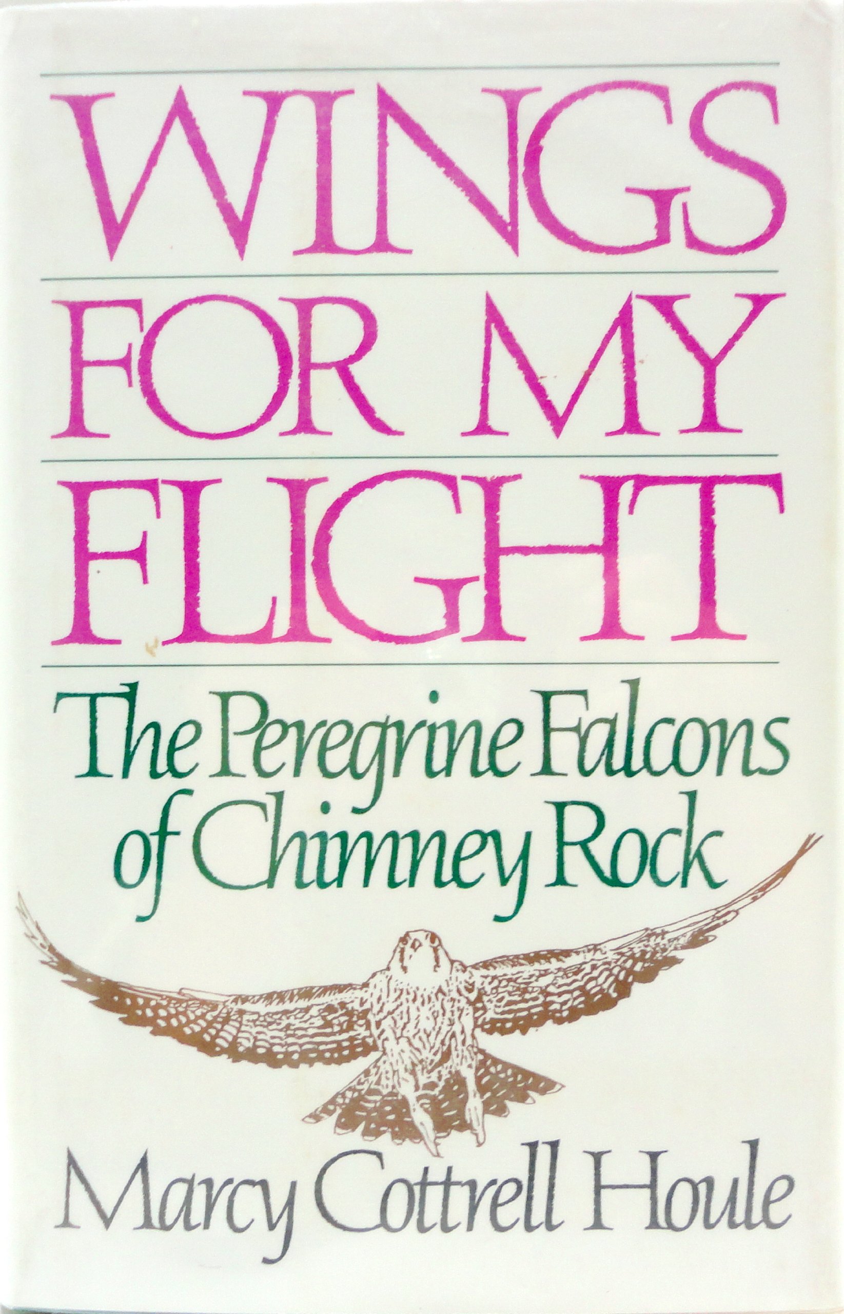 Wings for my flight: The peregrine falcons of Chimney Rock