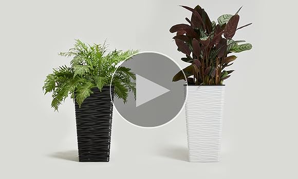 Amazon.com : Worth Garden 2-Pack 22