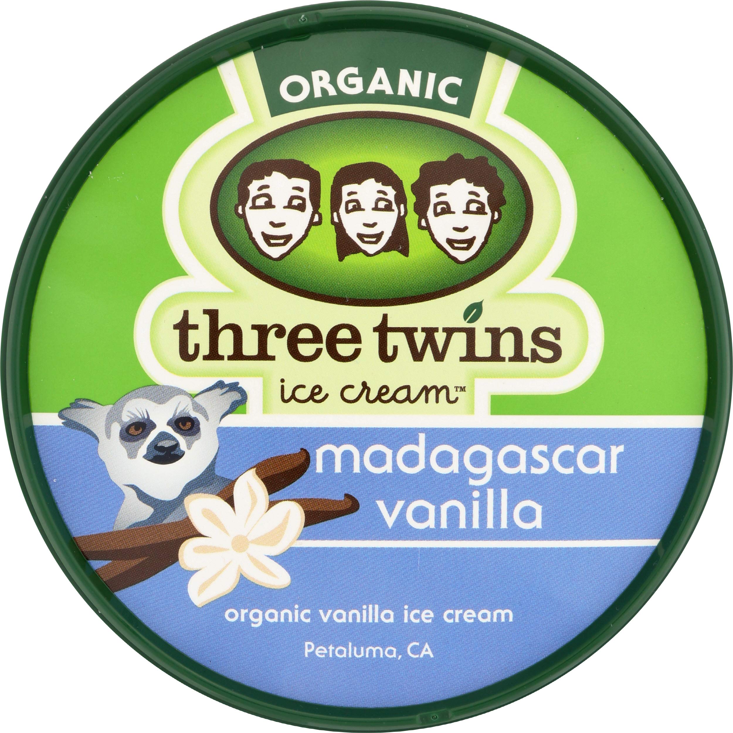 Three Twins Ice Cream Van Madagascar, 32 oz | Grocery Pickup