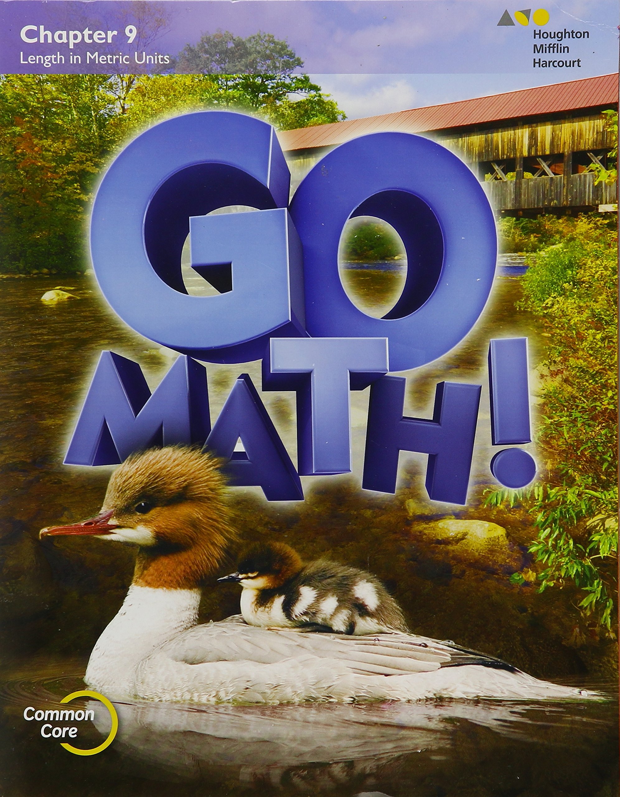 Go Math! Grade 2: Chapter 9