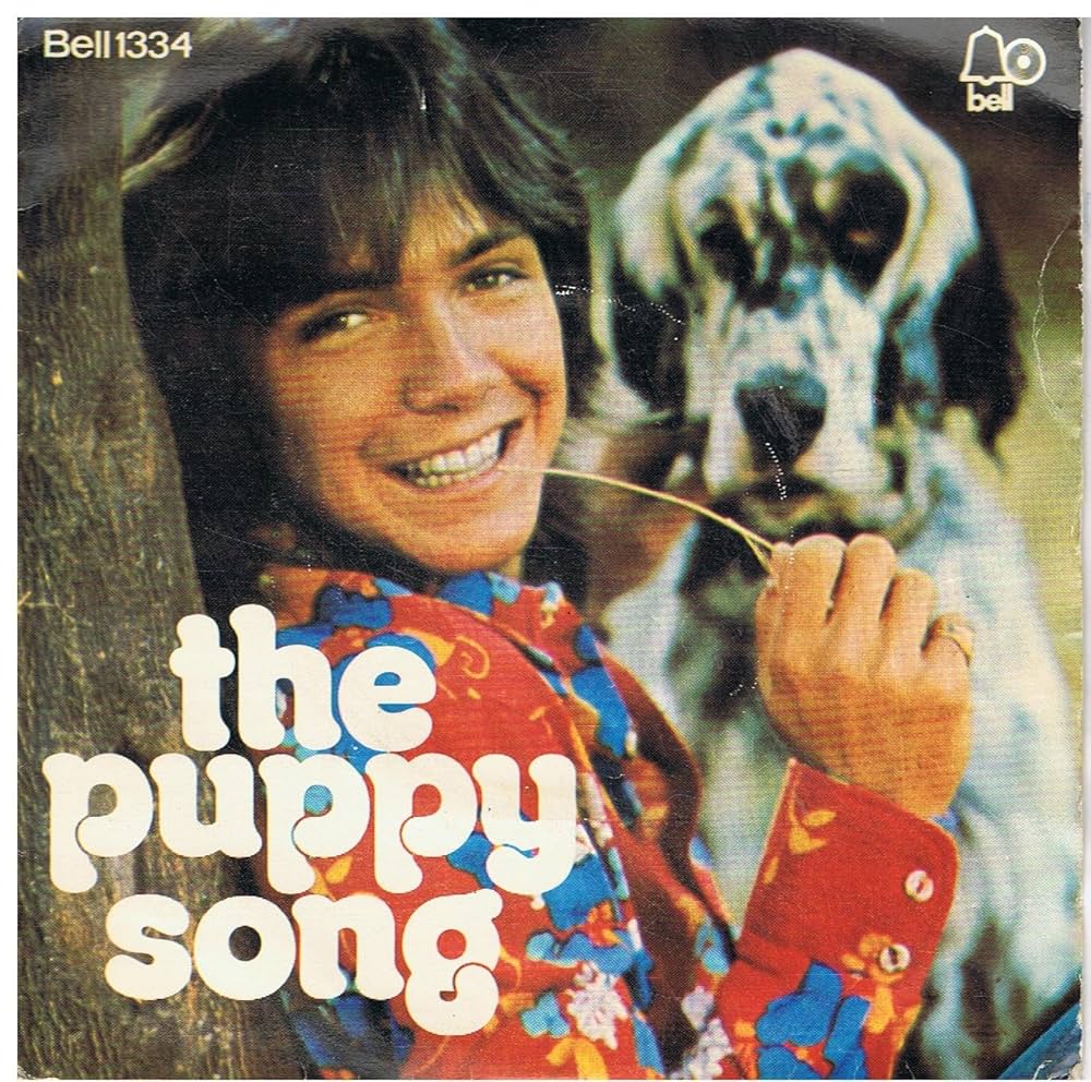 Amazon.com: Daydreamer / Puppy Song - David Cassidy 7" 45: CDs & Vinyl