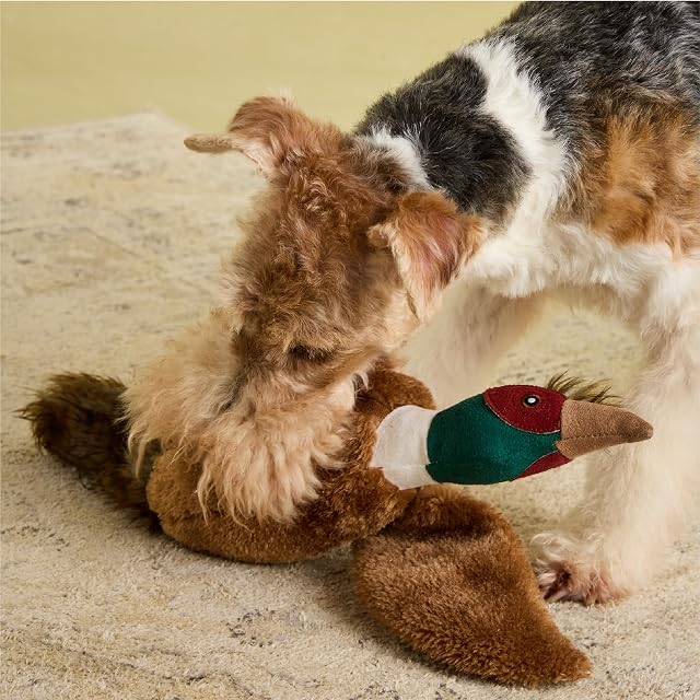 Foto 4 de 8 de Rosewood Joules Juguete de Entrenamiento Interactivo para Perros de faisán Suave chirriante, 46 x 36 cm