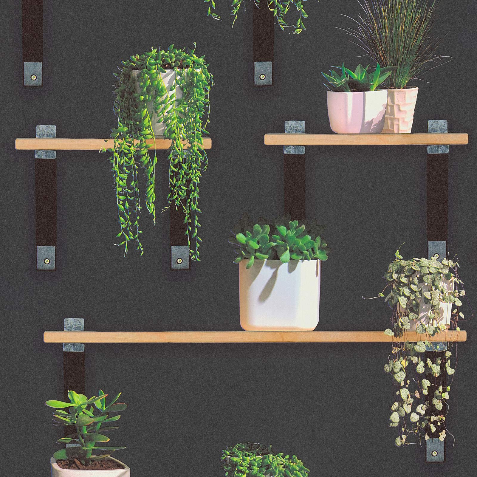 Funky Wallpaper Quirky Wallpaper Stylish Wallpaper Kitchen Wallpaper Paste The Wall Wallpaper Green Black Antracite White 364881 | Wallpaper at BRICOFLOR