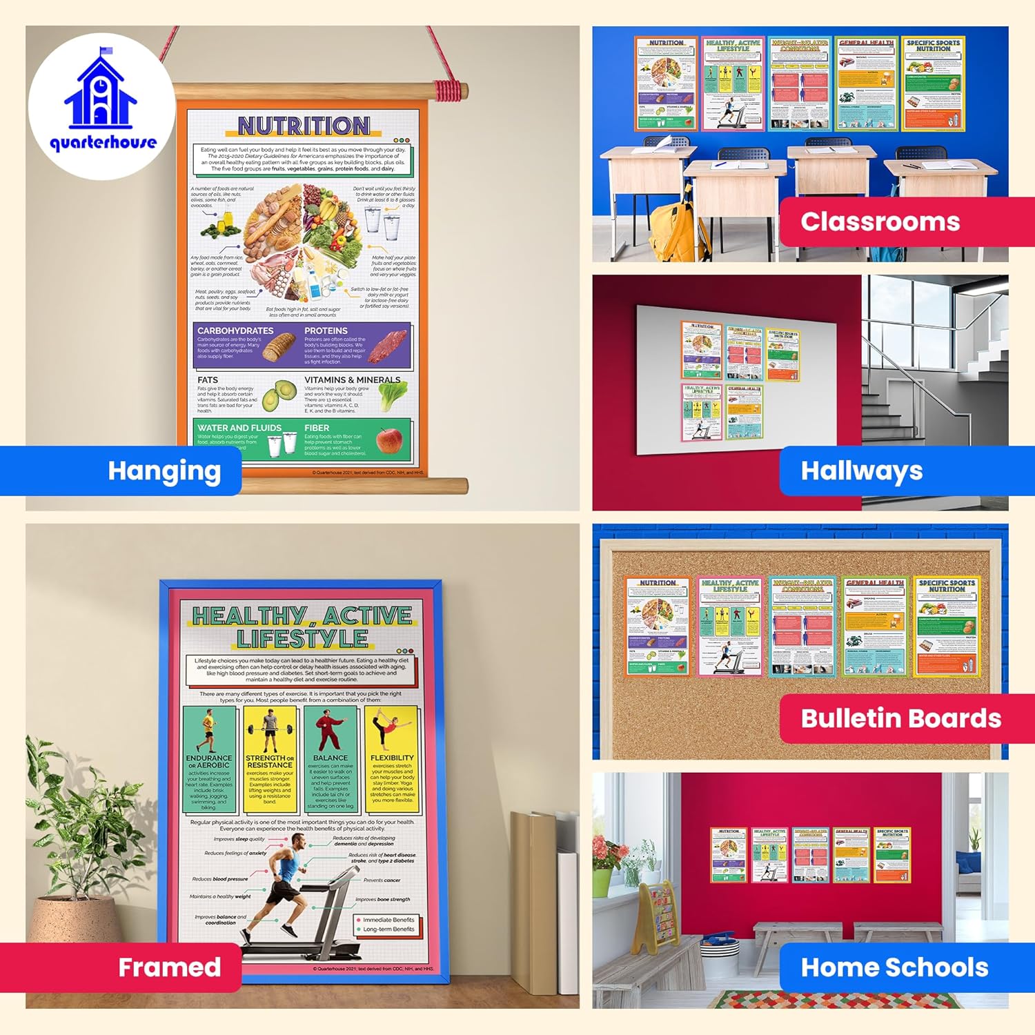 Quarterhouse 5 Poster Healthy Lifestyles Set, Health Classroom Learning Materials for K-12 Students and Teachers, 12 x 18 Inches, Made in USA