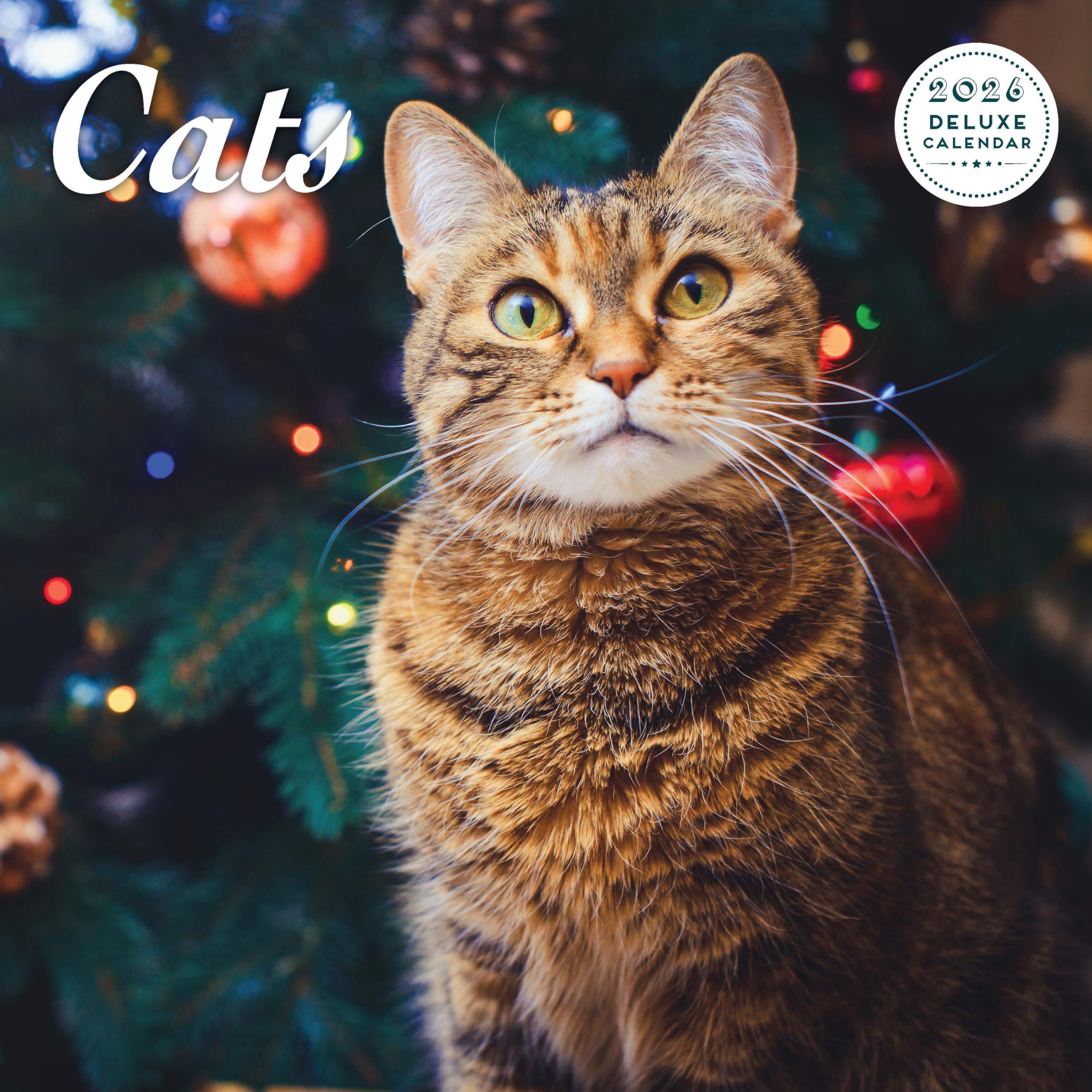 Cat 2026 Deluxe Calendar