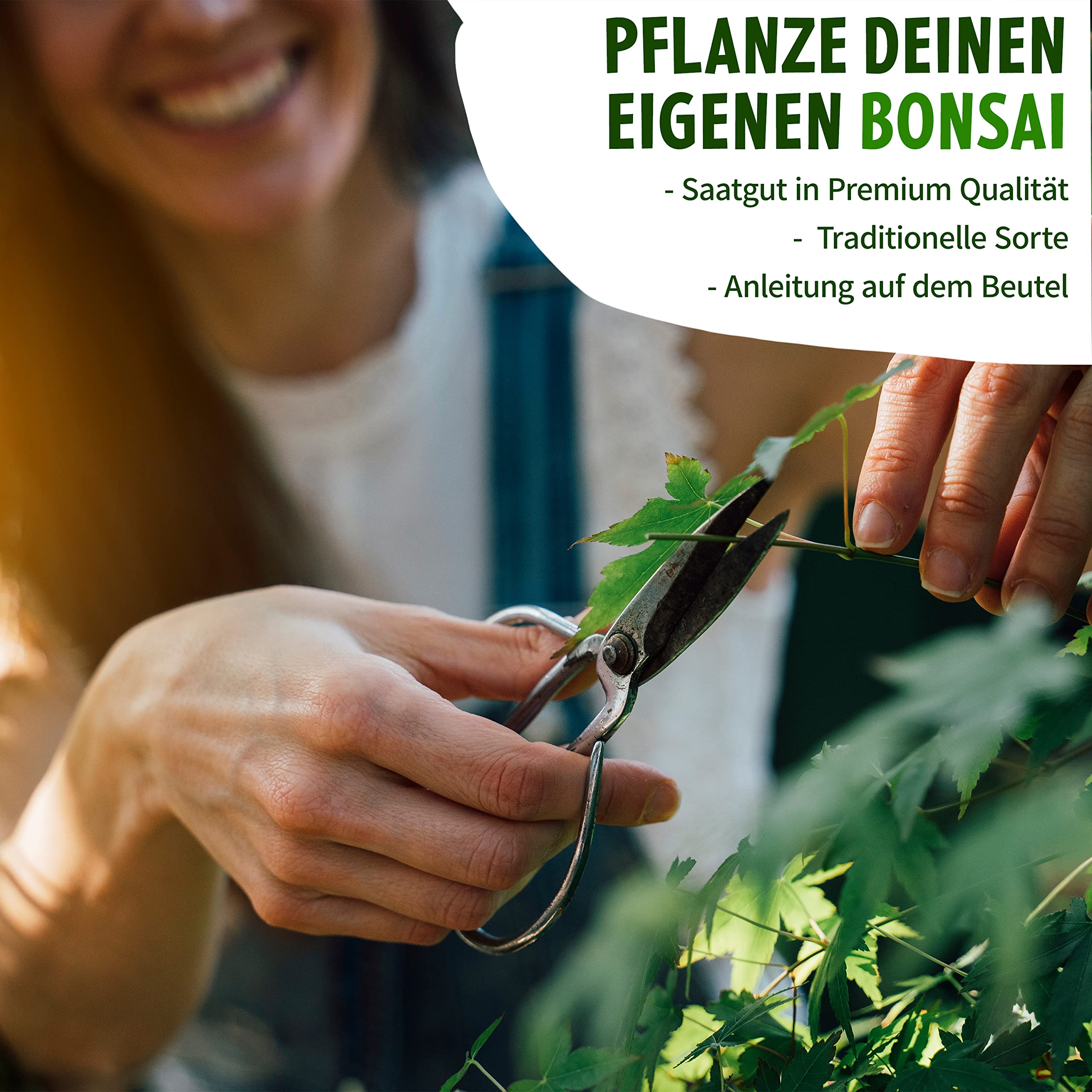 nasiona bonsai, grab bonsai, 10 nasion bonsai, wysoka wydajność kiełkowania Little Plants, piękne bonsai do własnej uprawy, zrównoważone opakowanie