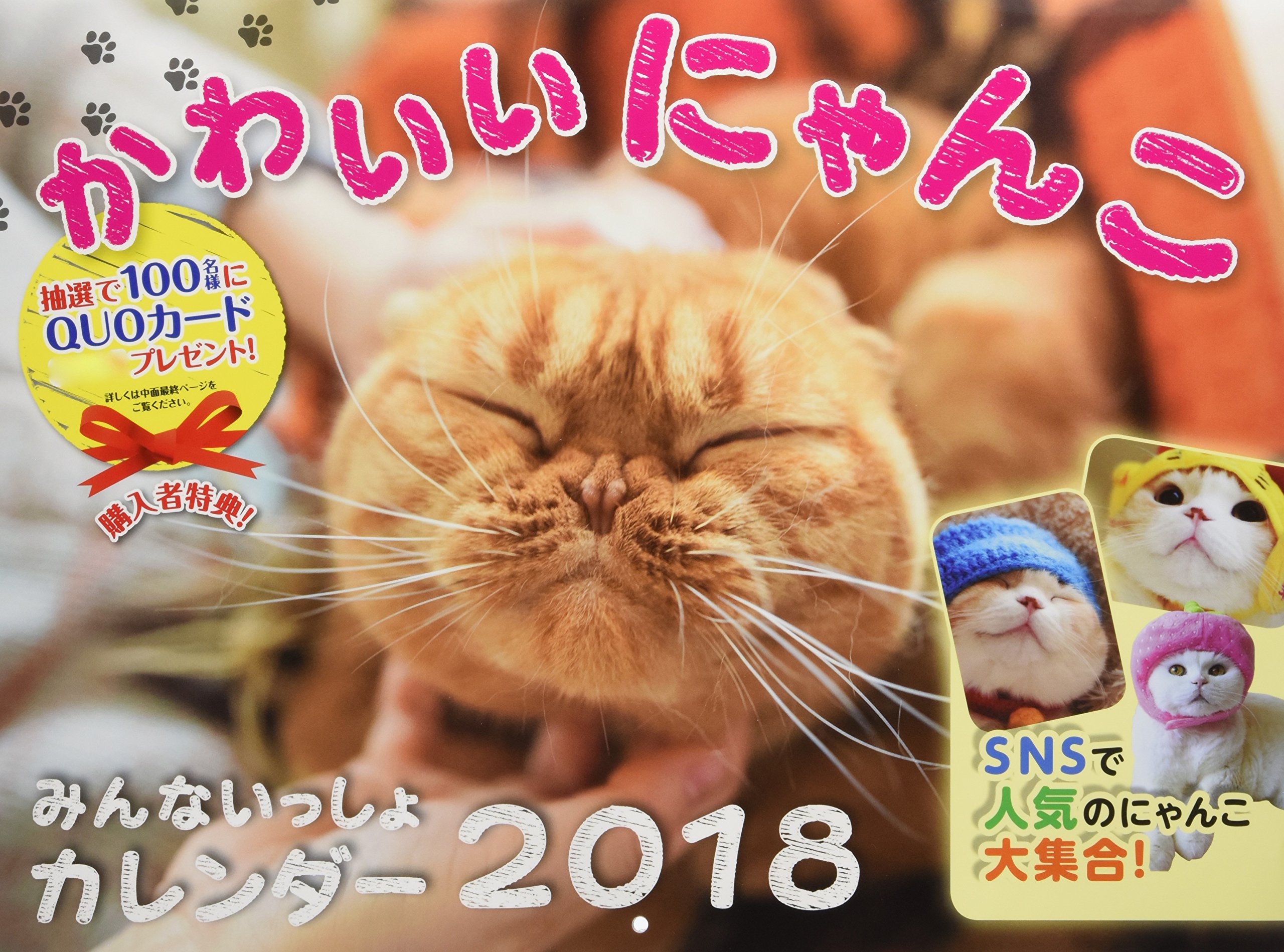 18 かわいいにゃんこ みんないっしょカレンダー カレンダー Mdn編集部 本 通販 Amazon