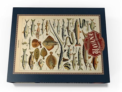 Miniatura 4 de MyPuzzle Fish for All, póster de arte vintage, Adolphe Millot - Rompecabezas prémium de 1000 piezas para adultos