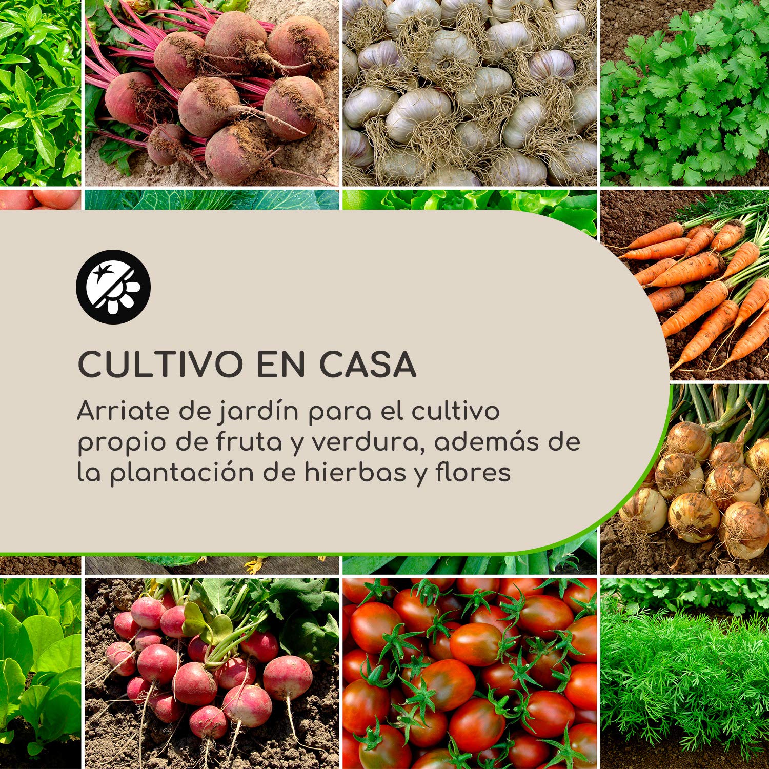 Blumfeldt Nova Grow Bancal de jardín, 150 x 91 x 100 cm (An x Al x Pr), Material: WPC con protección anti-UV, antioxidante y anticongelante, Aspecto de madera, Altura ergonómica, Montaje fácil, blanco