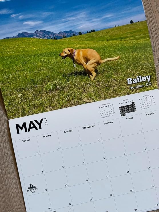 Pooping Pooches White Elephant Gag Gift Calendar