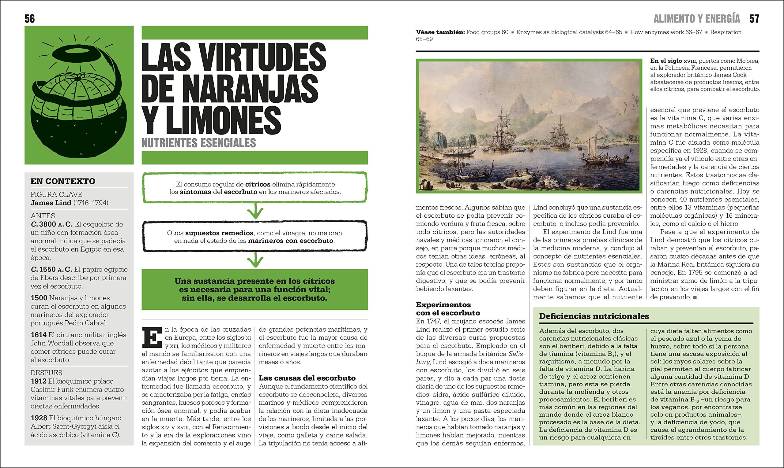 El libro de la biologia (The Biology Book) (DK Big Ideas) (Spanish Edition) - Image 4