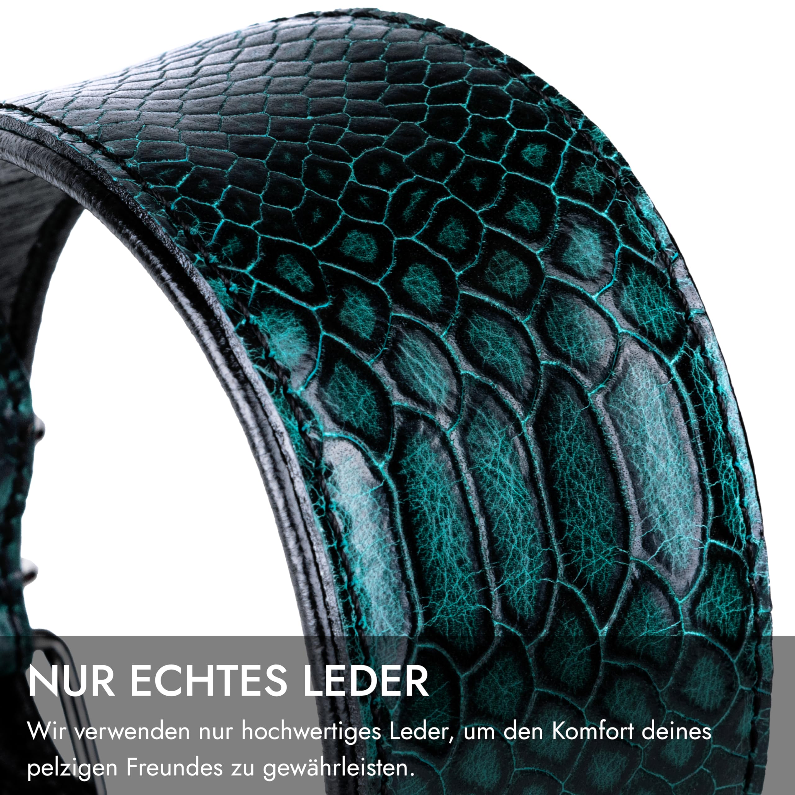 FAVPET Zachte leren halsband met QR-label voor windhond FAVPET Zachte leren halsband met QR-label voor windhond