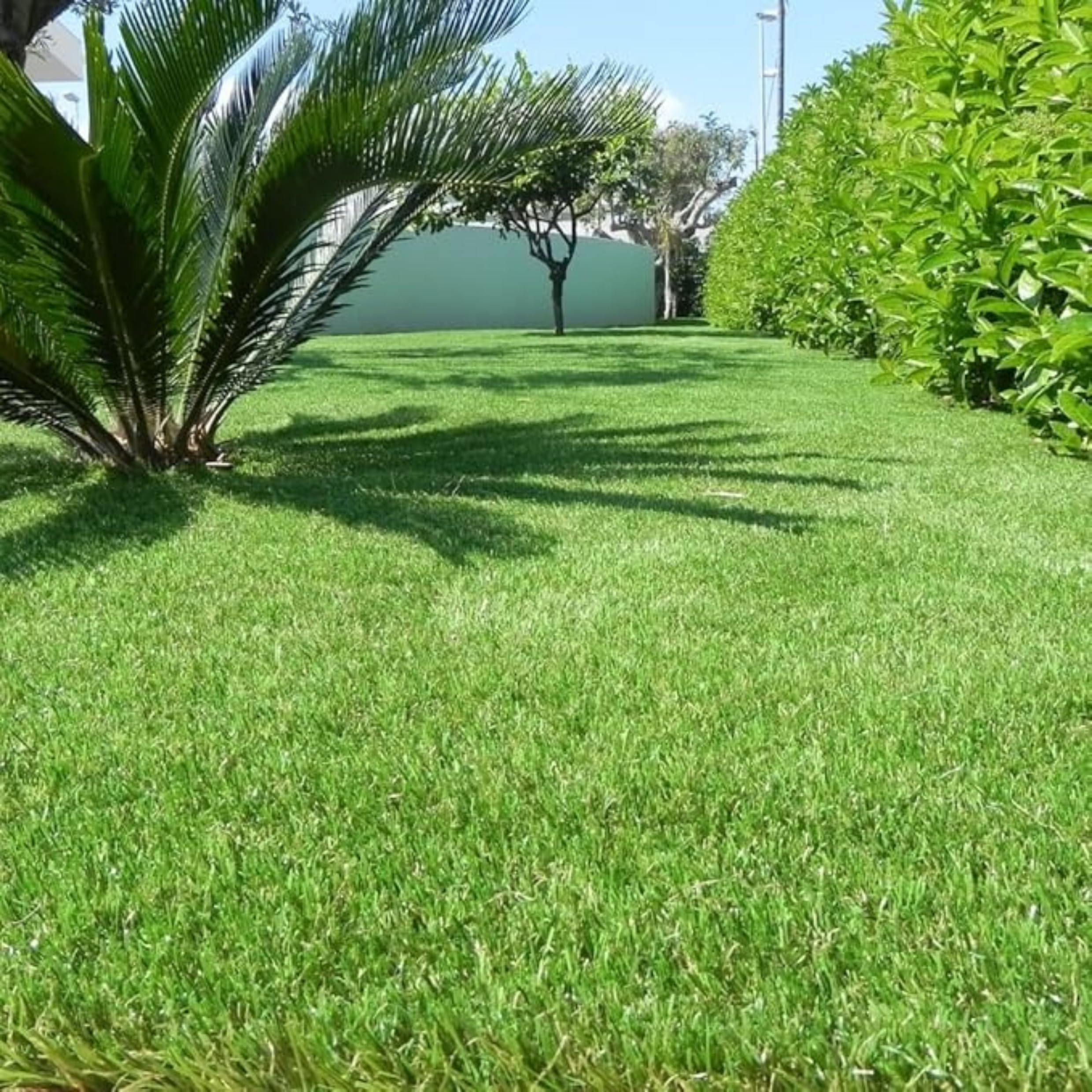 Prato Sintetico Erba Finta da Esterno Giardino Realistica Tappeto Erboso 25 mm Anti UV Atossico Drenante Ideale per Piscina,Terrazzo,Aree Giochi (1x1mt)
