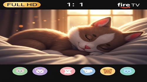 Animal sleep music – vue 9