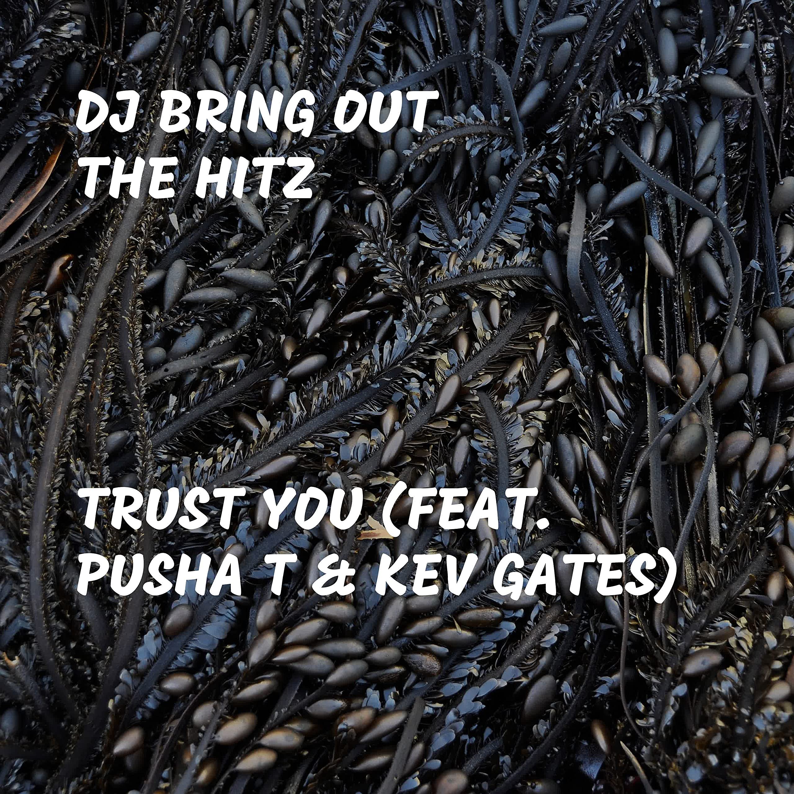 DJ Bring Out The Hitz