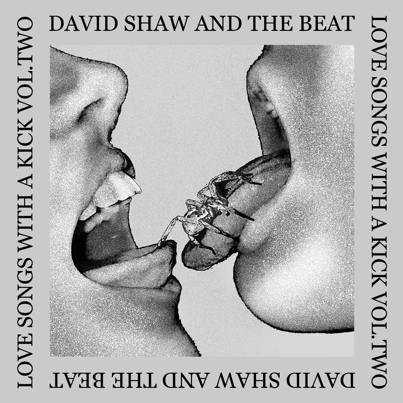 David Shaw and The Beat