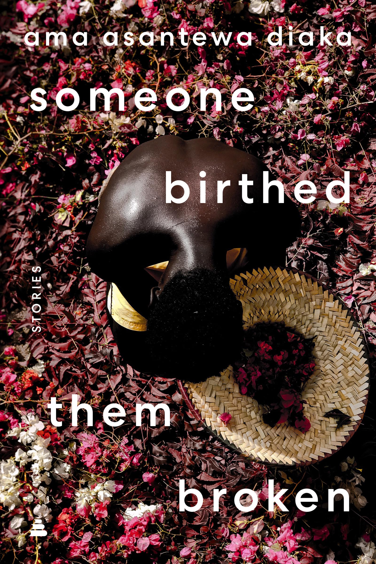 Buy someone birthed them broken: Stories — BookShops.in