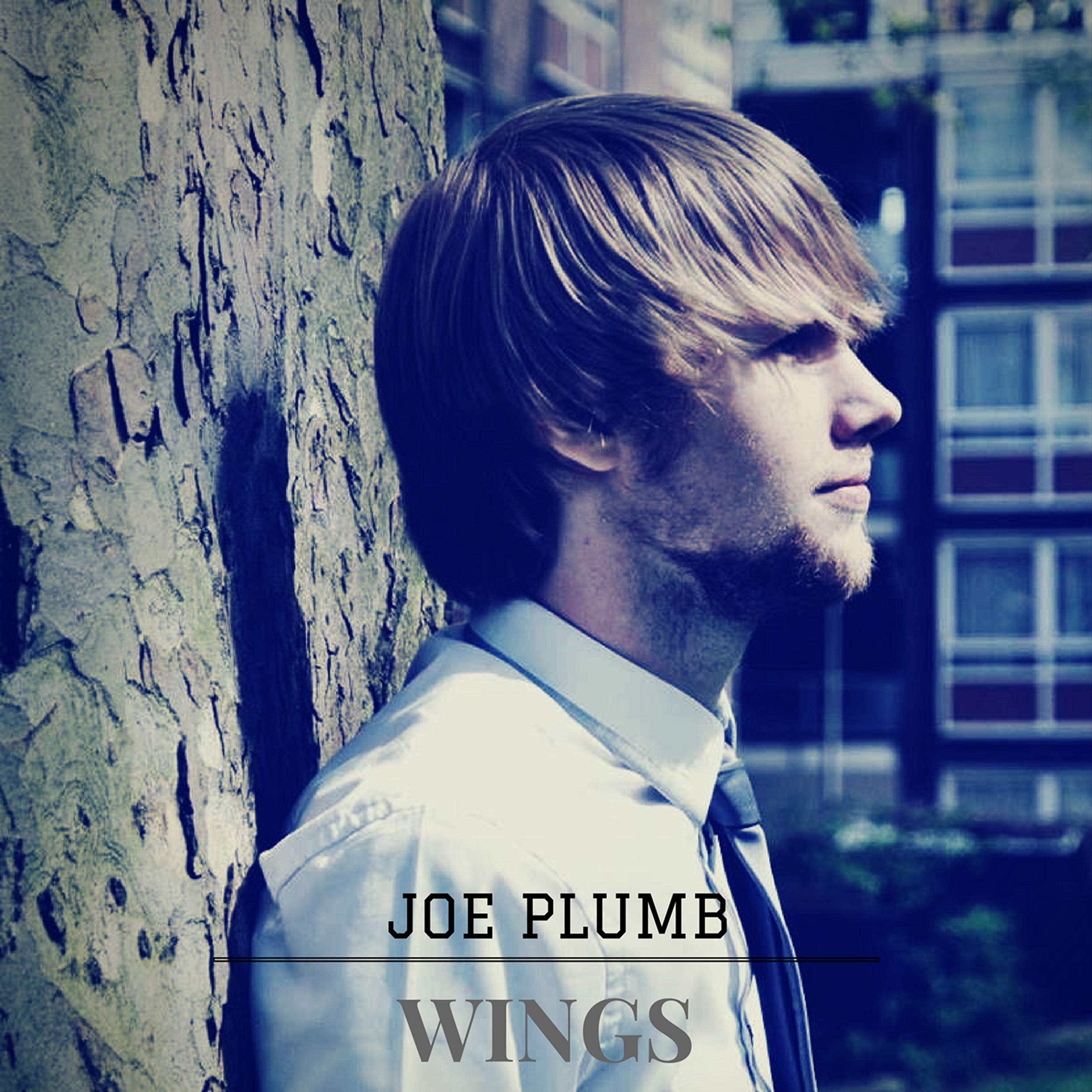 Joe Plumb