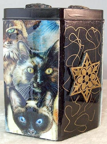 Miniatura 5 de Decorative Tzedakah Box - Los Gatos