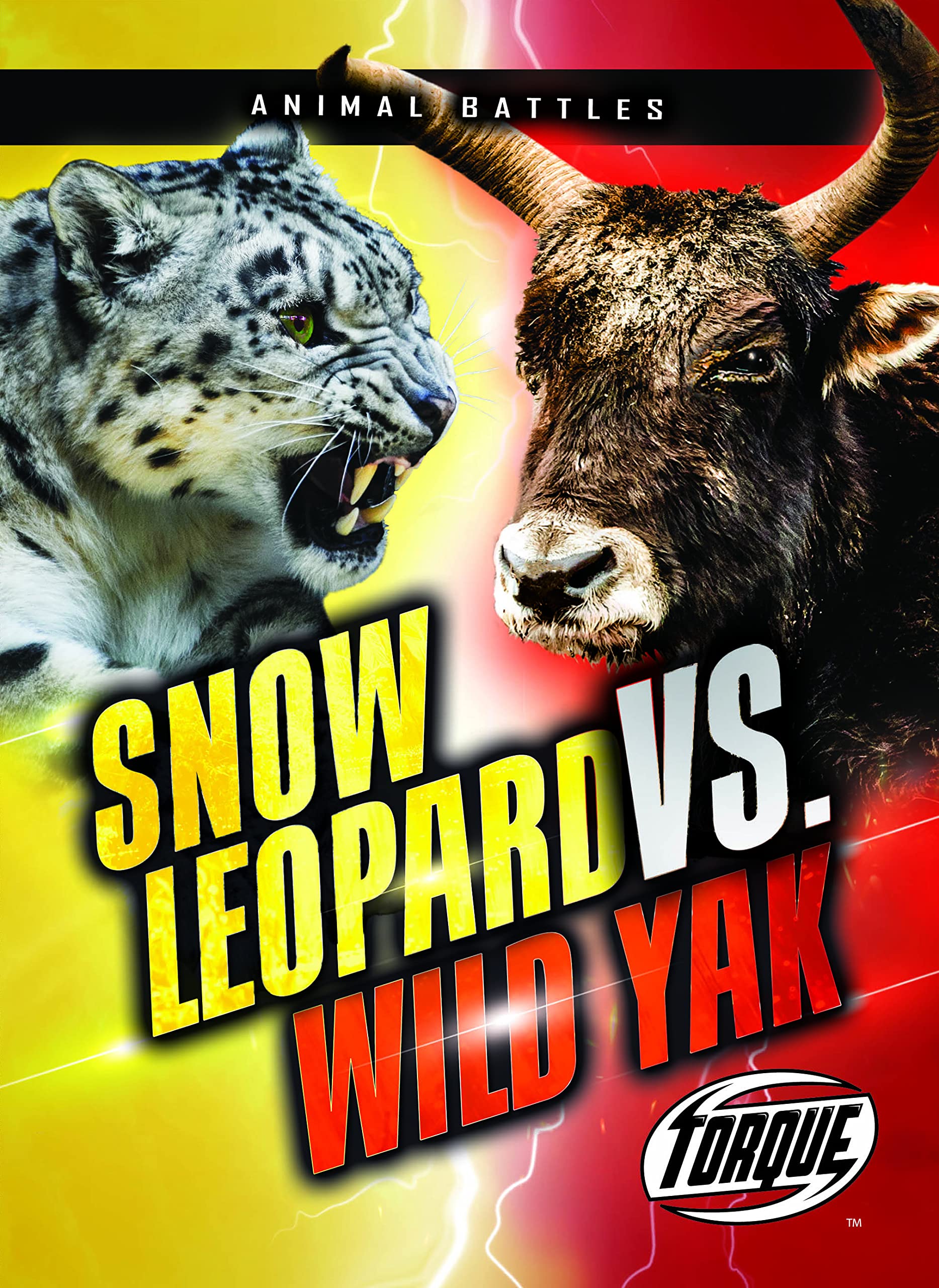 Snow Leopard Vs. Wild Yak