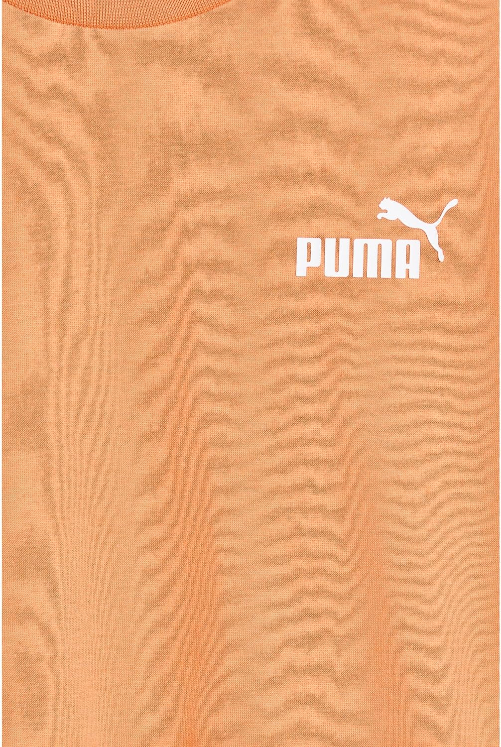 PUMA Kids Short Sleeve T-Shirt & Cargo Fleece Short Set (Little Kid/Big Kid)