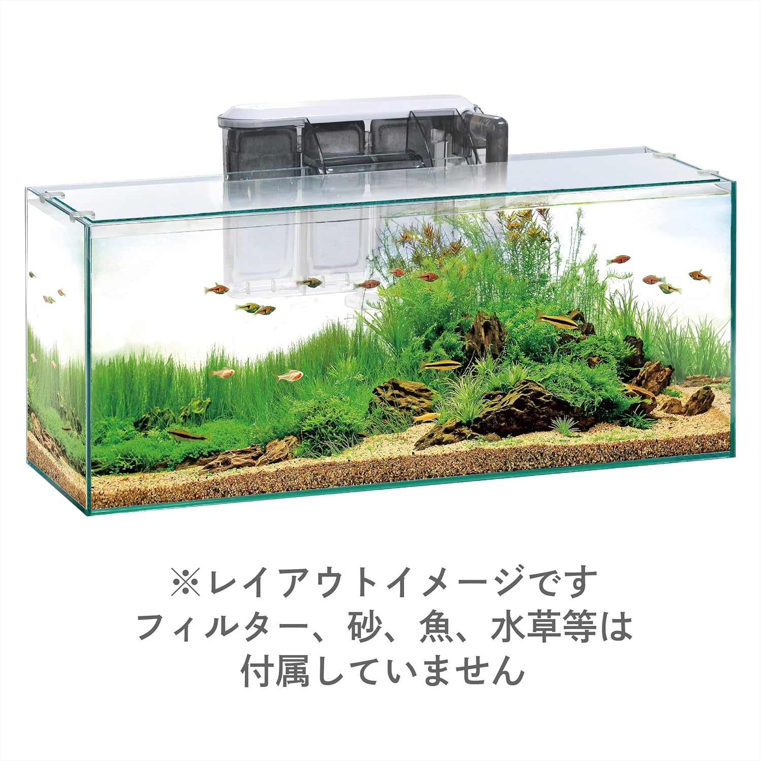 Glassteria Slim 600 Aquarium EC