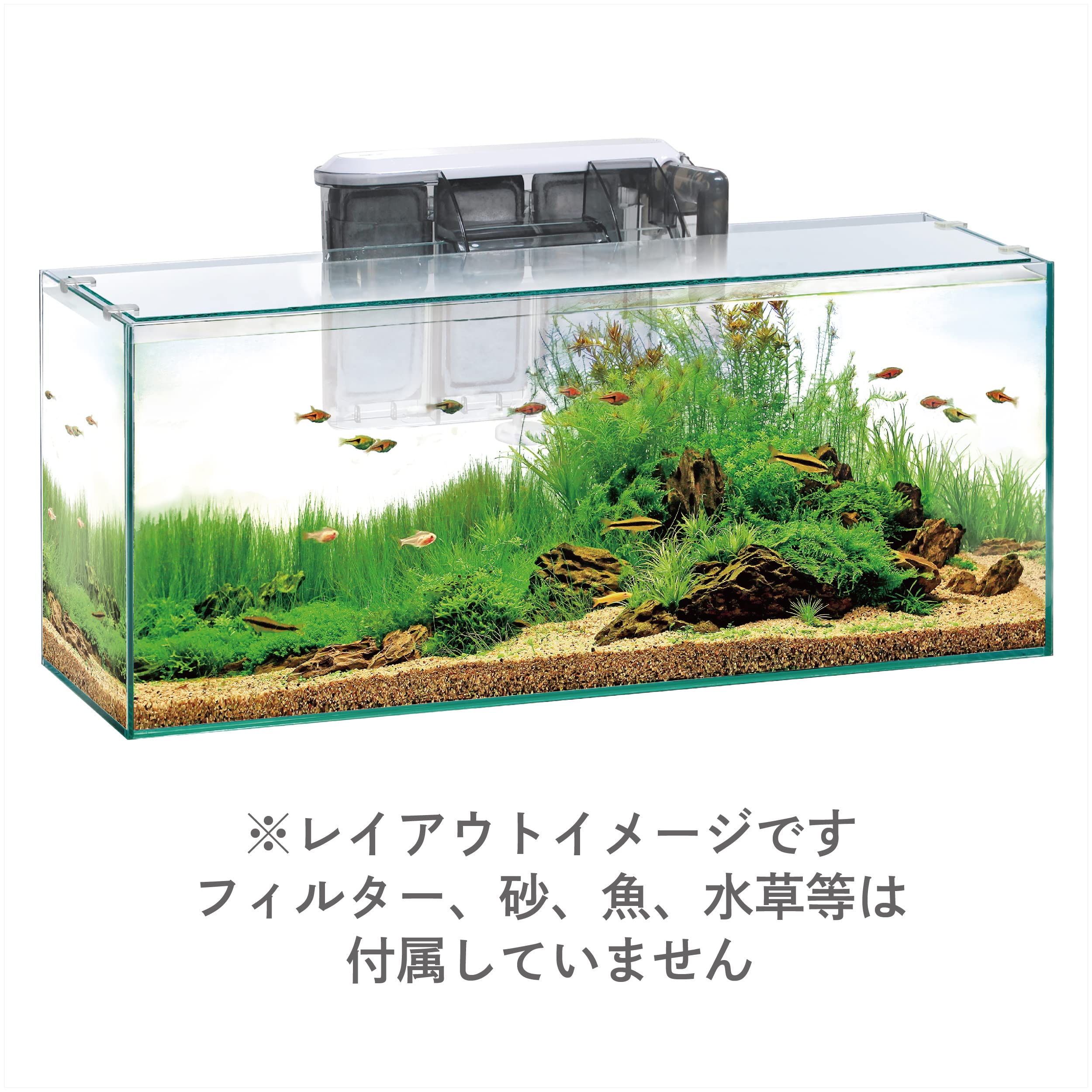 Amazon | ジェックス グラステリアスリム600 フレームレス水槽 W60×D20 