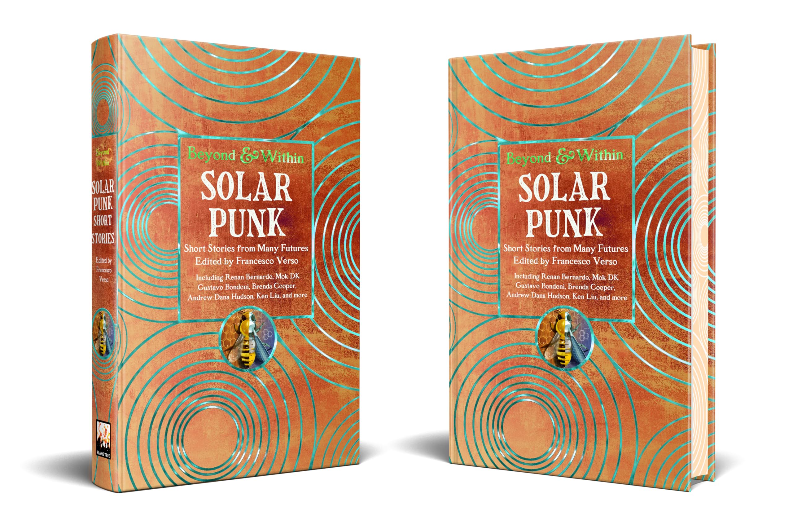 Solar Punk: Short Stories from Many Futures (Beyond & Within)