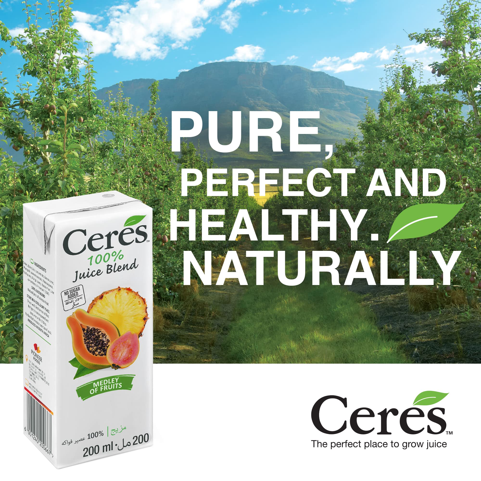 Ceres Medley of Fruits Juice, 200ml : Amazon.in: Grocery & Gourmet