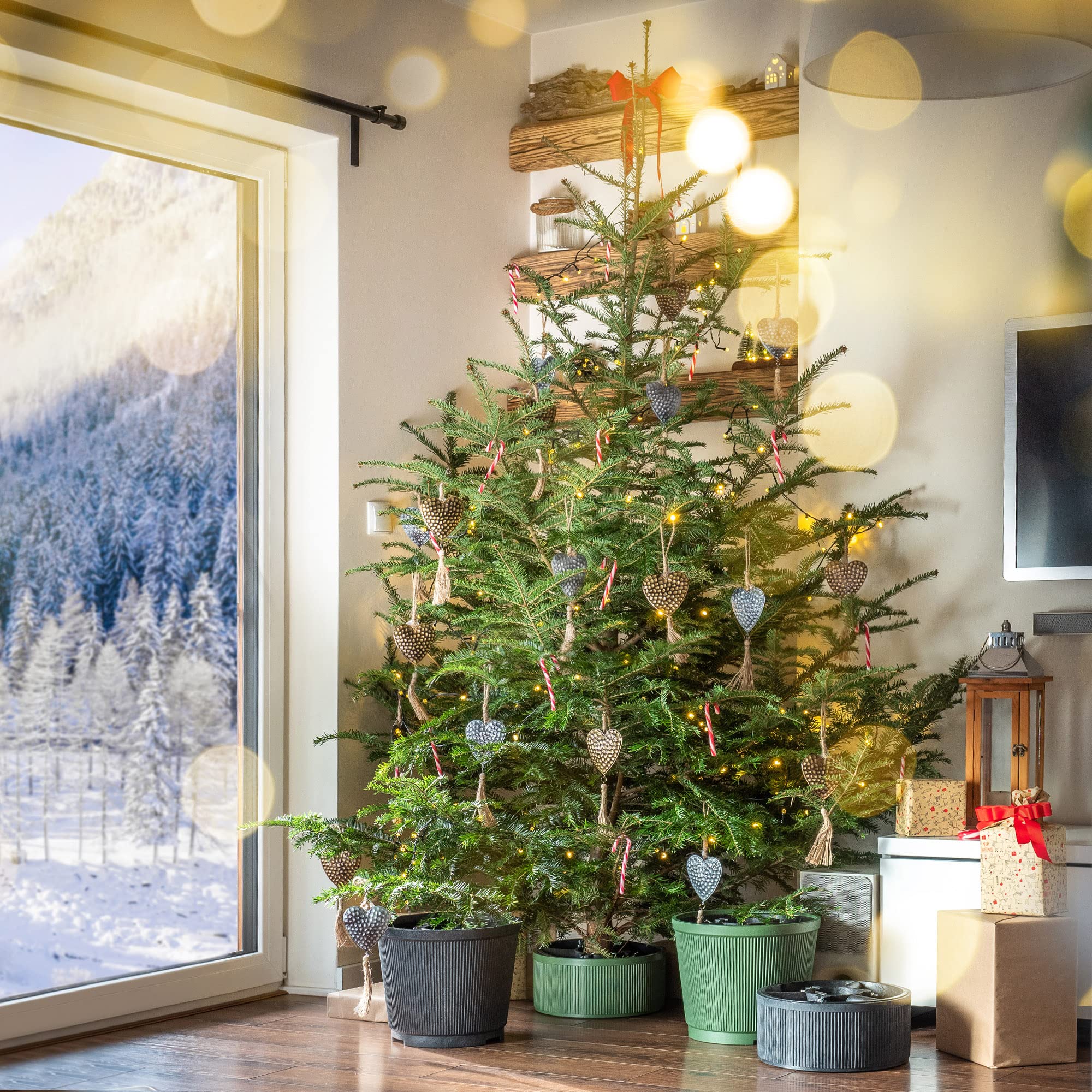 KADAX Support de sapin de Noël, en plastique recyclé, pour un vrai arbre, pied de sapin (hauteur de l'arbre jusqu'à 250 cm / vert)