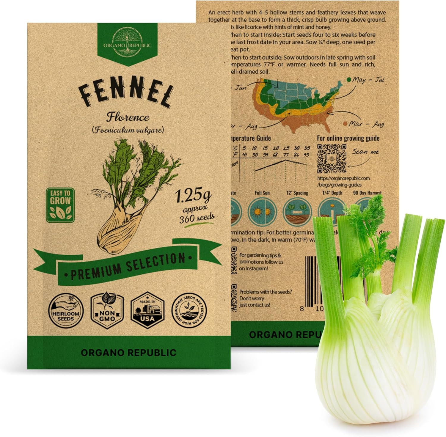 Amazon.com : Fennel Florence Seeds Pack 1.25 G - Over 360 Non-GMO ...