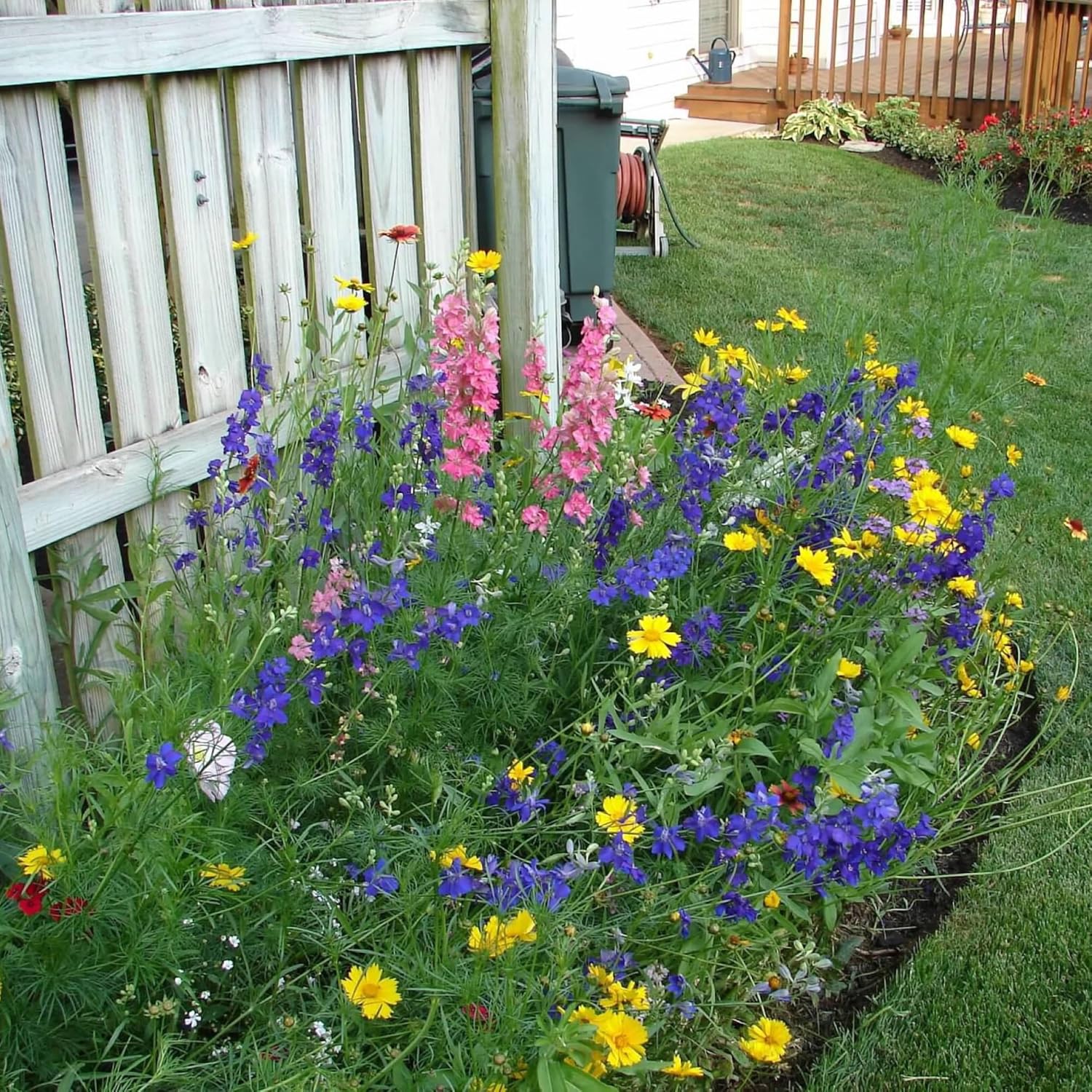 Created By Nature Wyoming Wildflower Seed Mix, 14 Flower Varieties, 53,000 Seeds