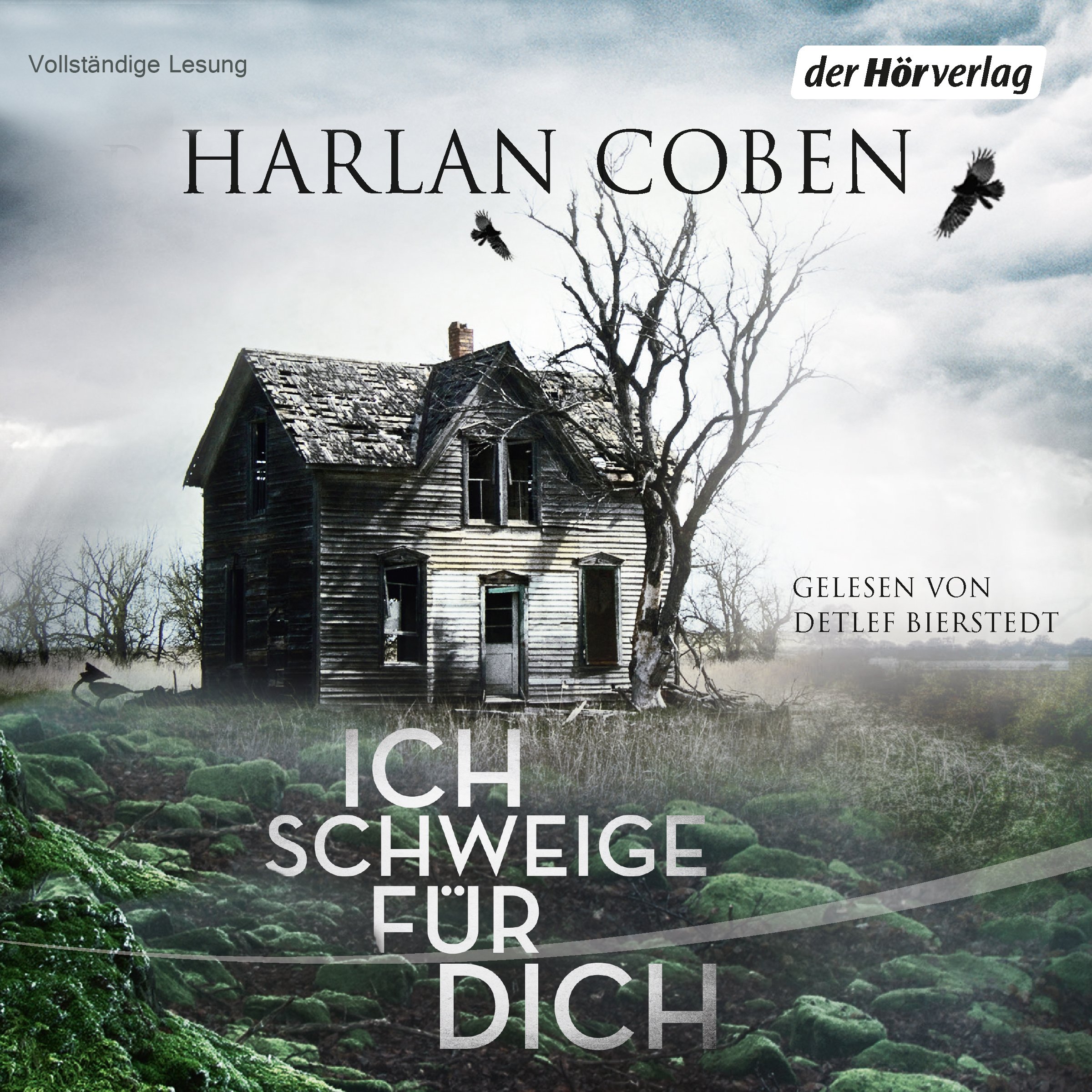 Cover art for Ich schweige für dich