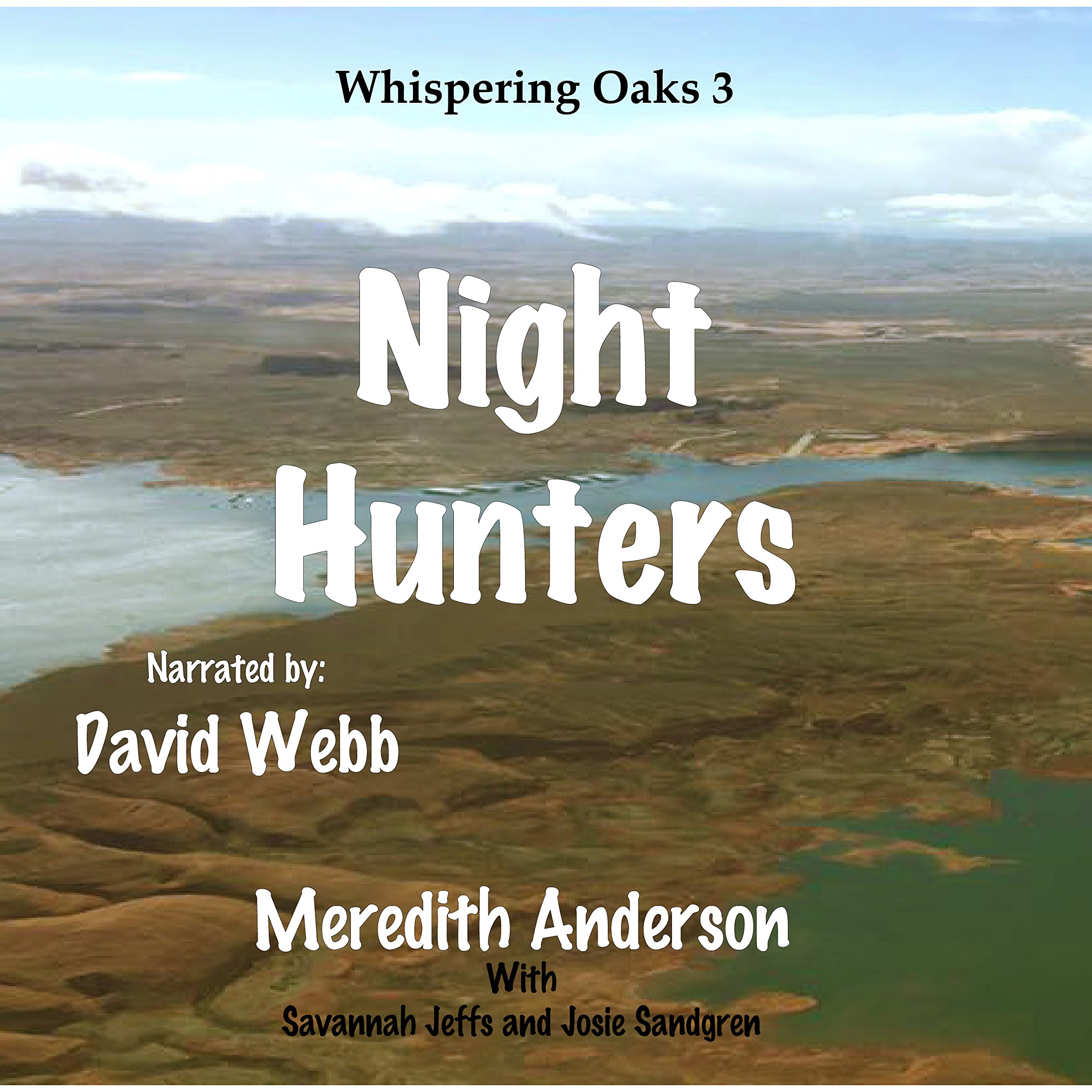 Cover art for Night Hunters