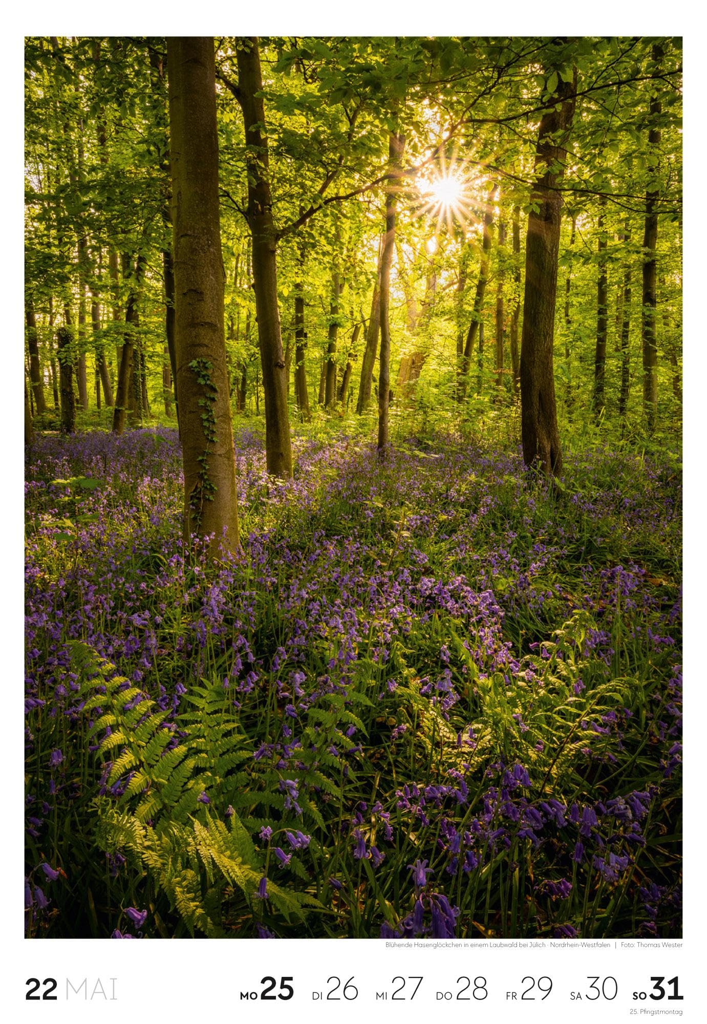 Natur Wochenkalender 2026 | Natur-Kalender mit 53 großformatigen Bildern im Hochformat (29x42 cm) | Heimische Flora und Fauna