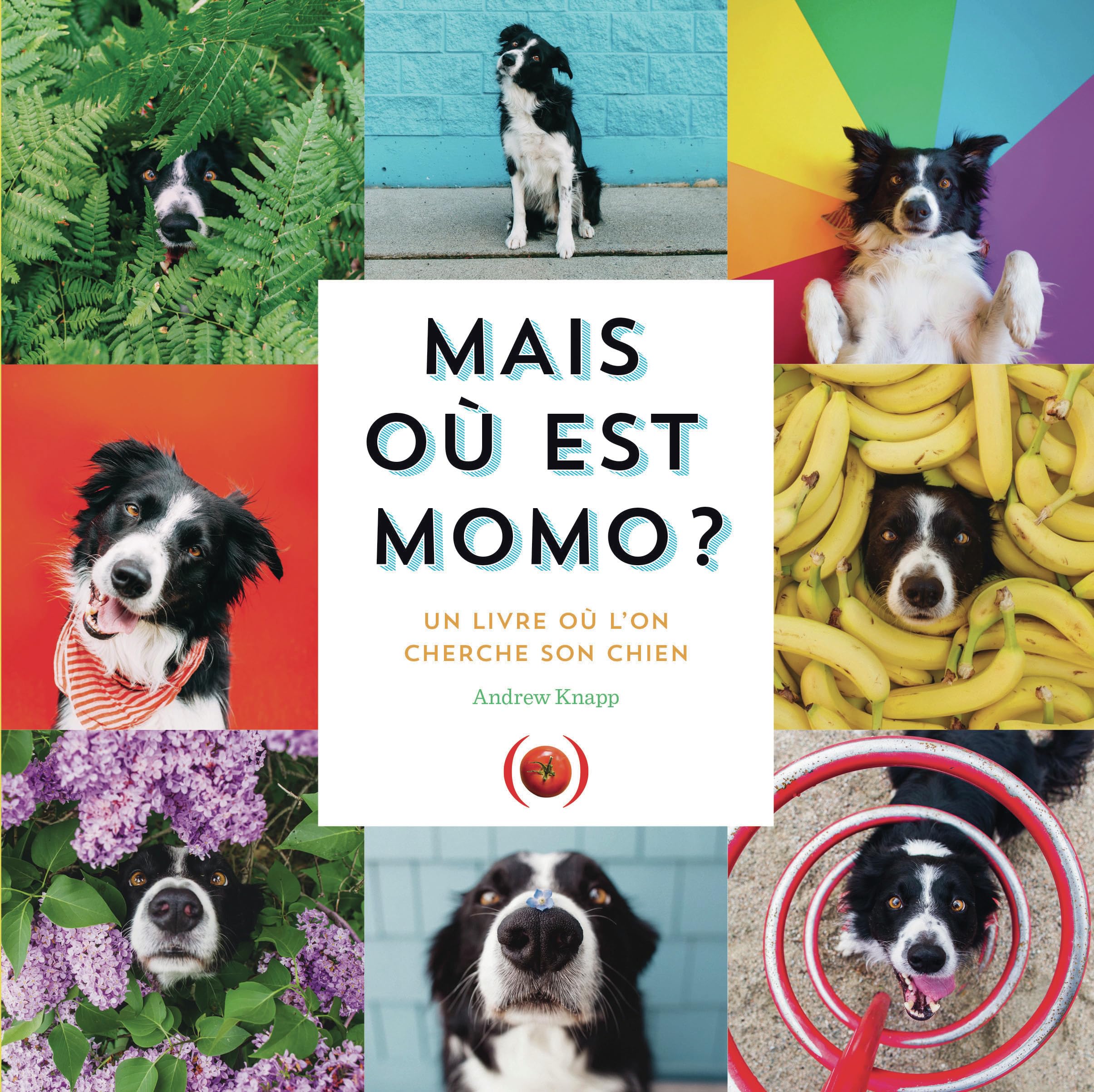 Mais où est Momo ?: Un livre où l'on cherche son chien