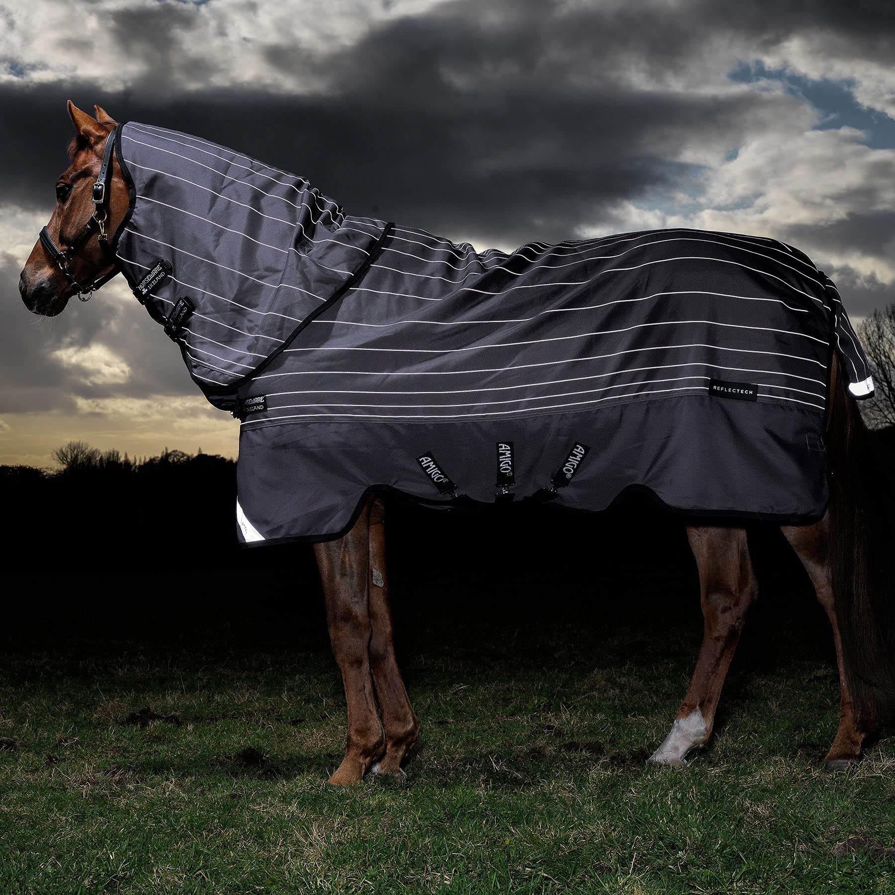 Horseware Manta para Caballos de Exterior Amigo Bravo 12 Refl Plus 100g