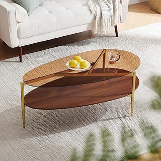 Oval Coffee Table, Mid-Century Modern Design, Amber Glass Top and Walnut Finish Wood Shelf, Conical Metal Legs with Gold Finish | L43*W21*H17 inch, Fit for Living Room
