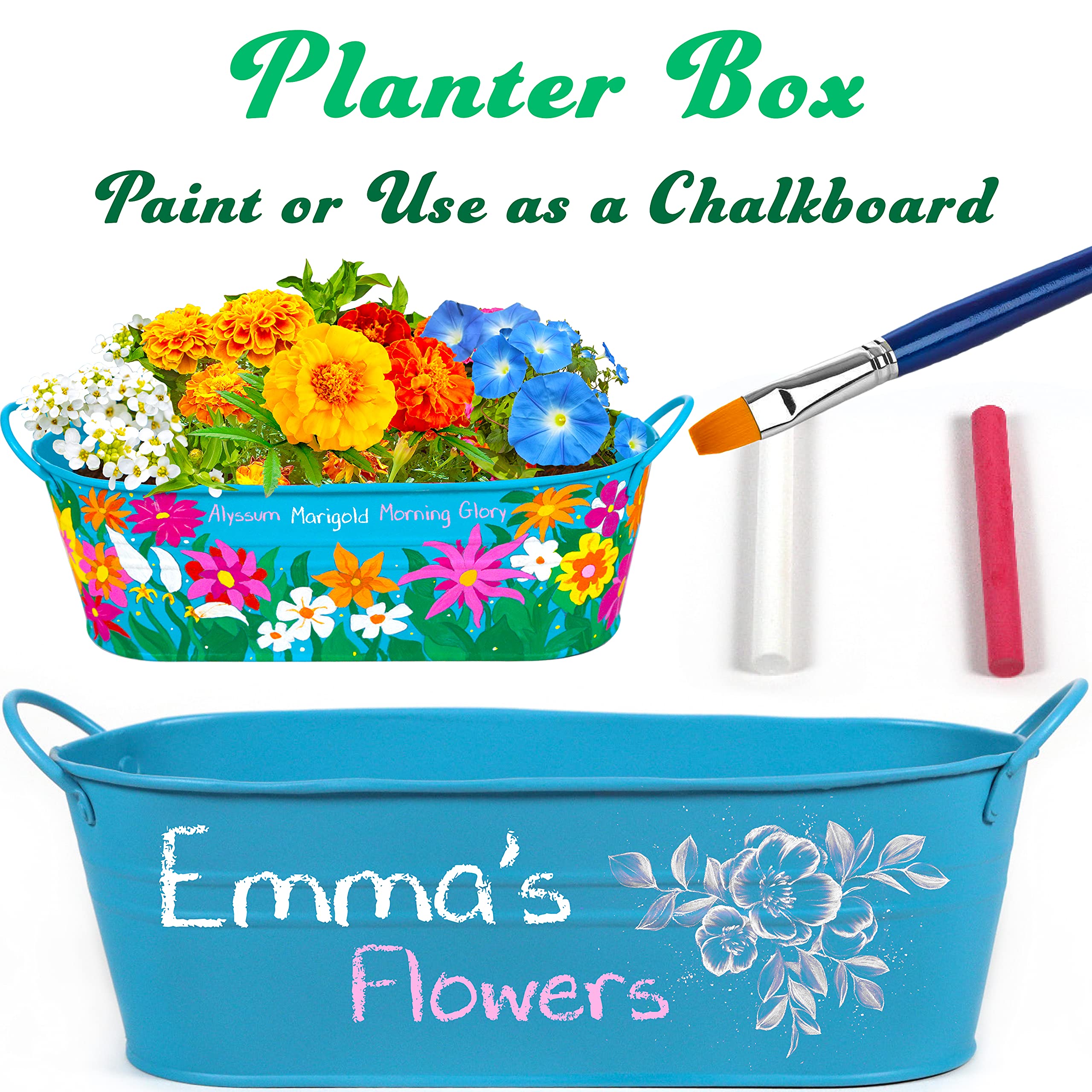 Buy Little Planters Paint & Grow Fairy Garden with Real Flowers and
