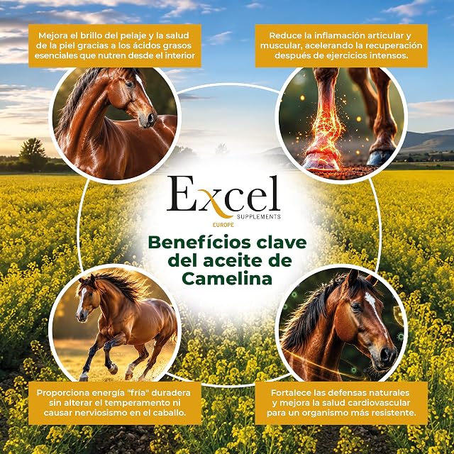 Foto 7 de 8 de Excel Supplements Hoof Support 0,5L - Grasa para Cascos