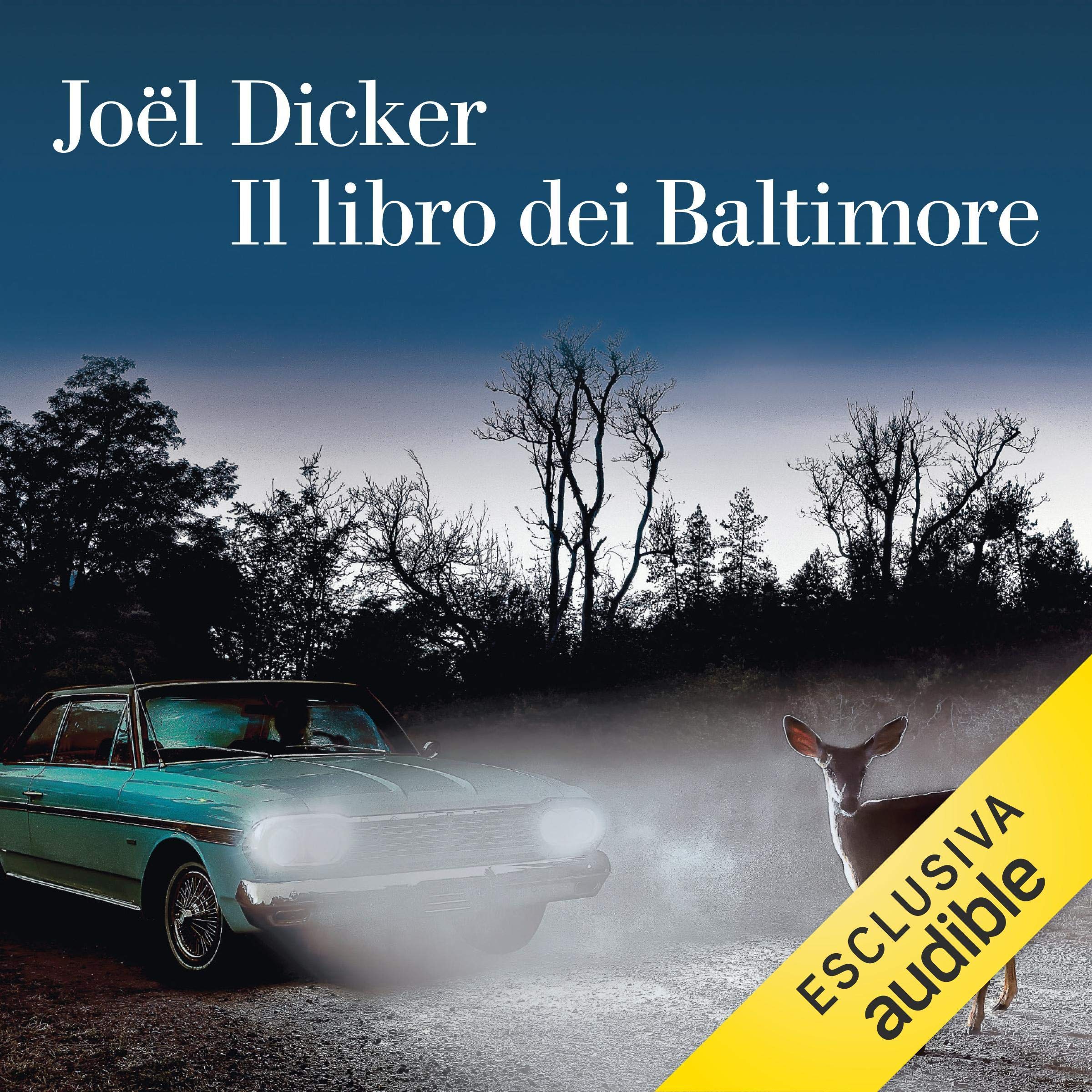 Cover art for Il libro dei Baltimore