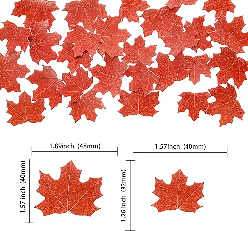 Miniatura 9 de Gyufise 24 adornos para cupcakes de Acción de Gracias, pavo, hojas de arce, calabaza, avellana, temática de otoño, selecciones para cupcakes,