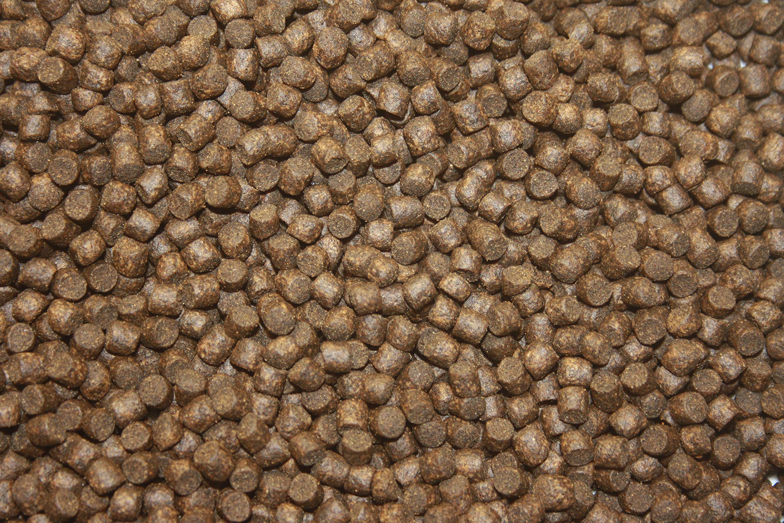 Koifutter für den Herbst, Tomodachi Herbstfutter für Koi, langsam sinkend und energiereich, 10kg