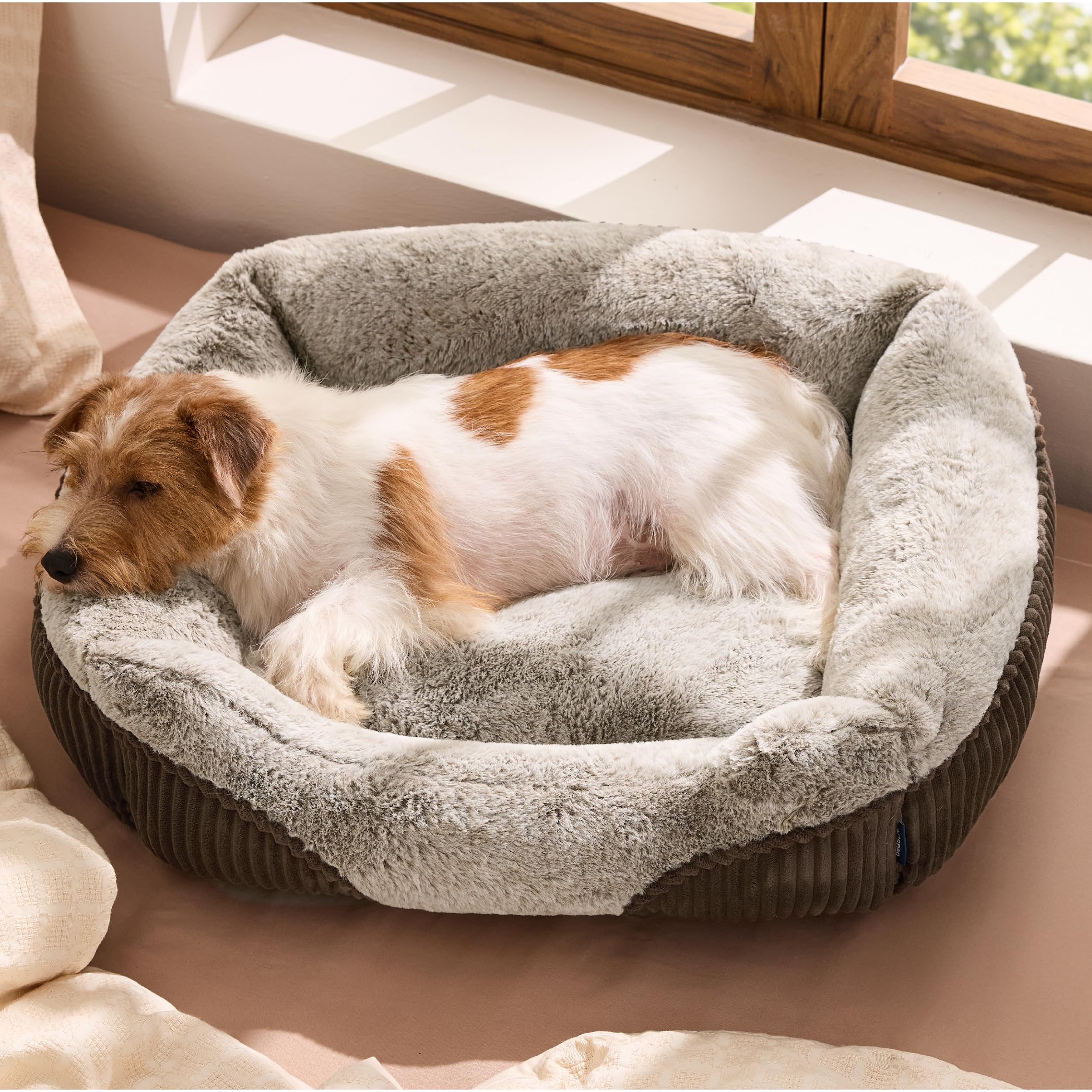 Bedsure Washable Dog Bed Small Medium Size Dog - Rectangle Fluffy Plush Pet Bed Puppy Bed Comfy Corduroy