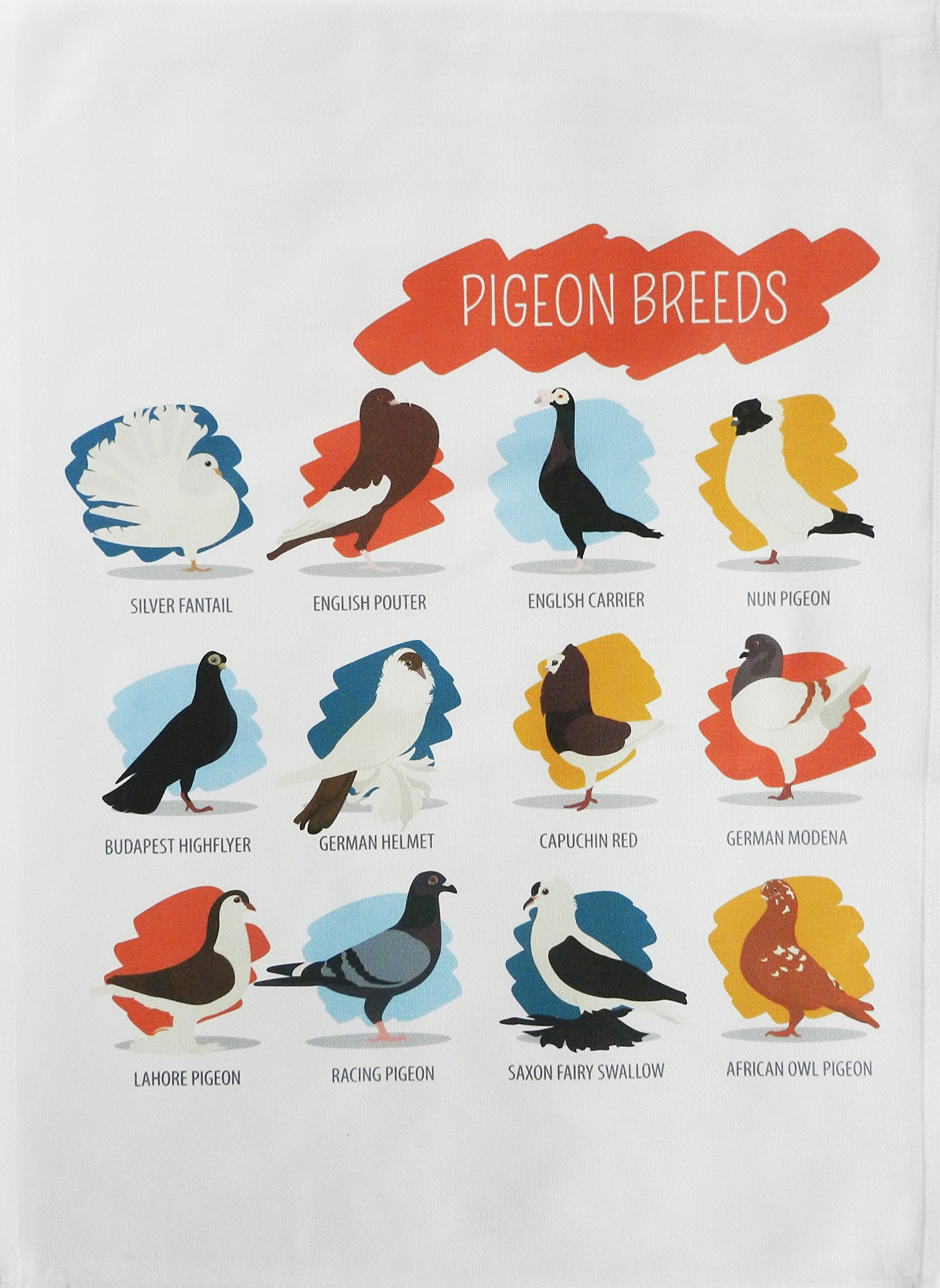 Half A Donkey Multicolour Breeds Of Pigeon - Large Cotton Tea Towel