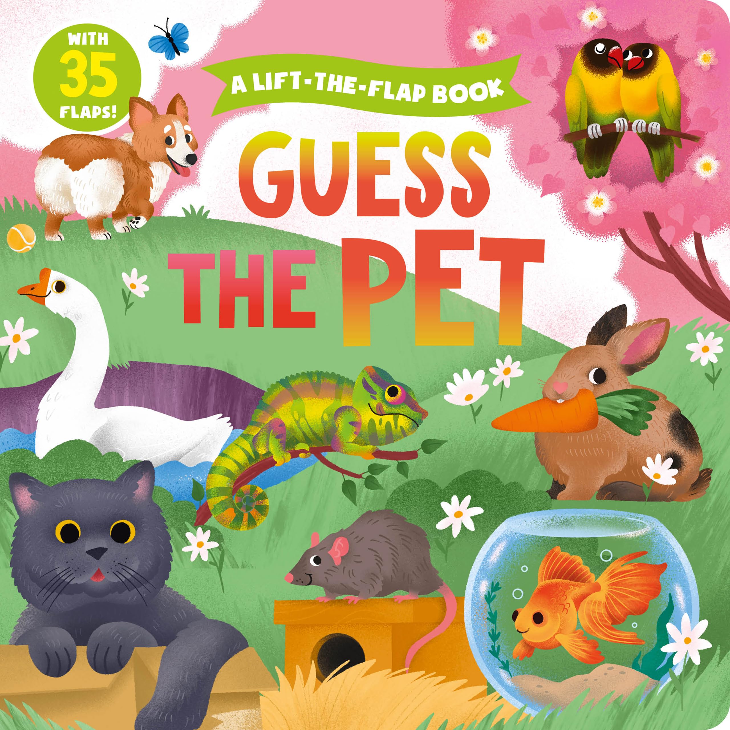 Guess the Pet (Clever Hide and Seek)